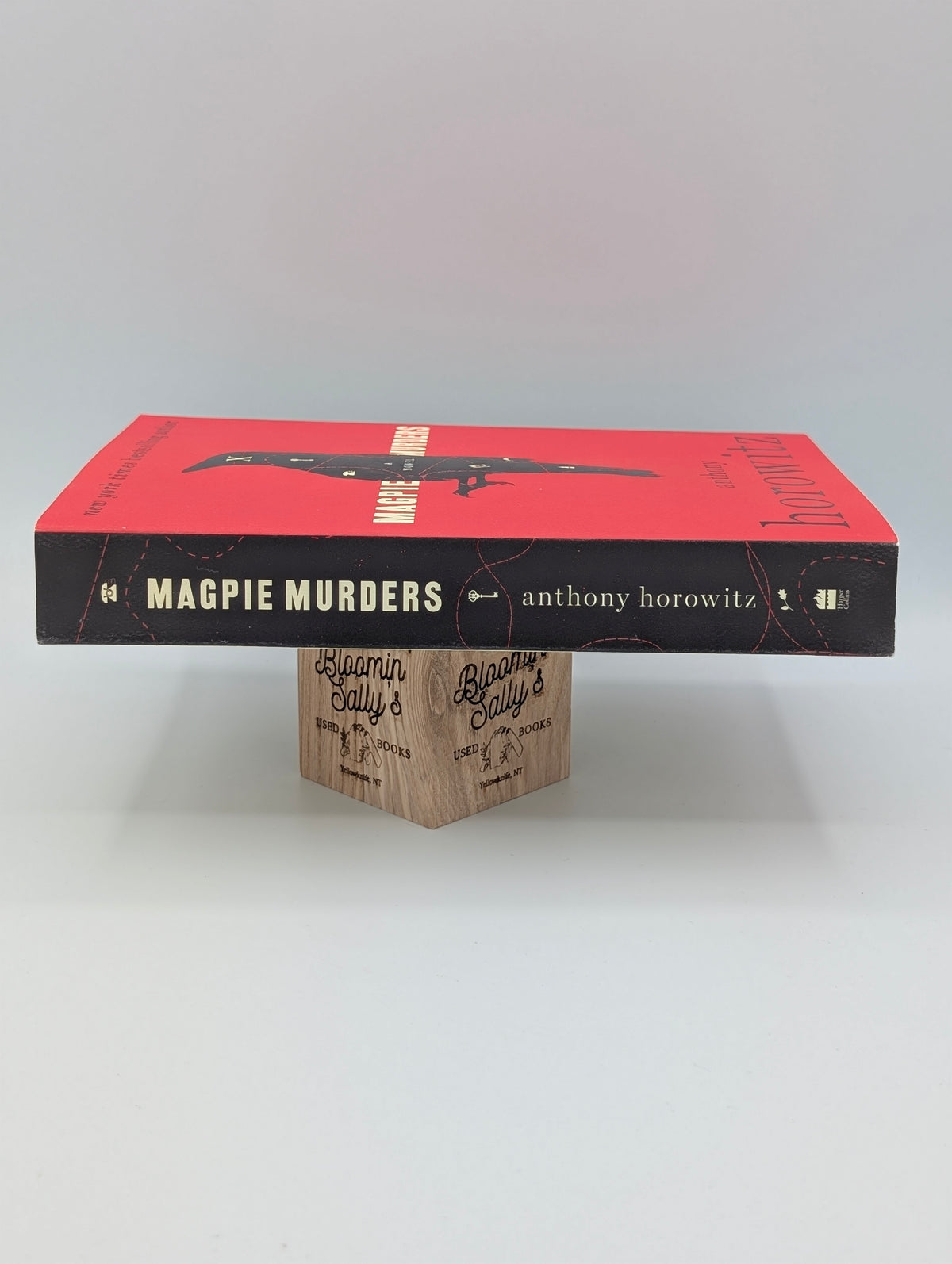 Magpie Murders: A Novel (Susan Ryeland Series, 1)