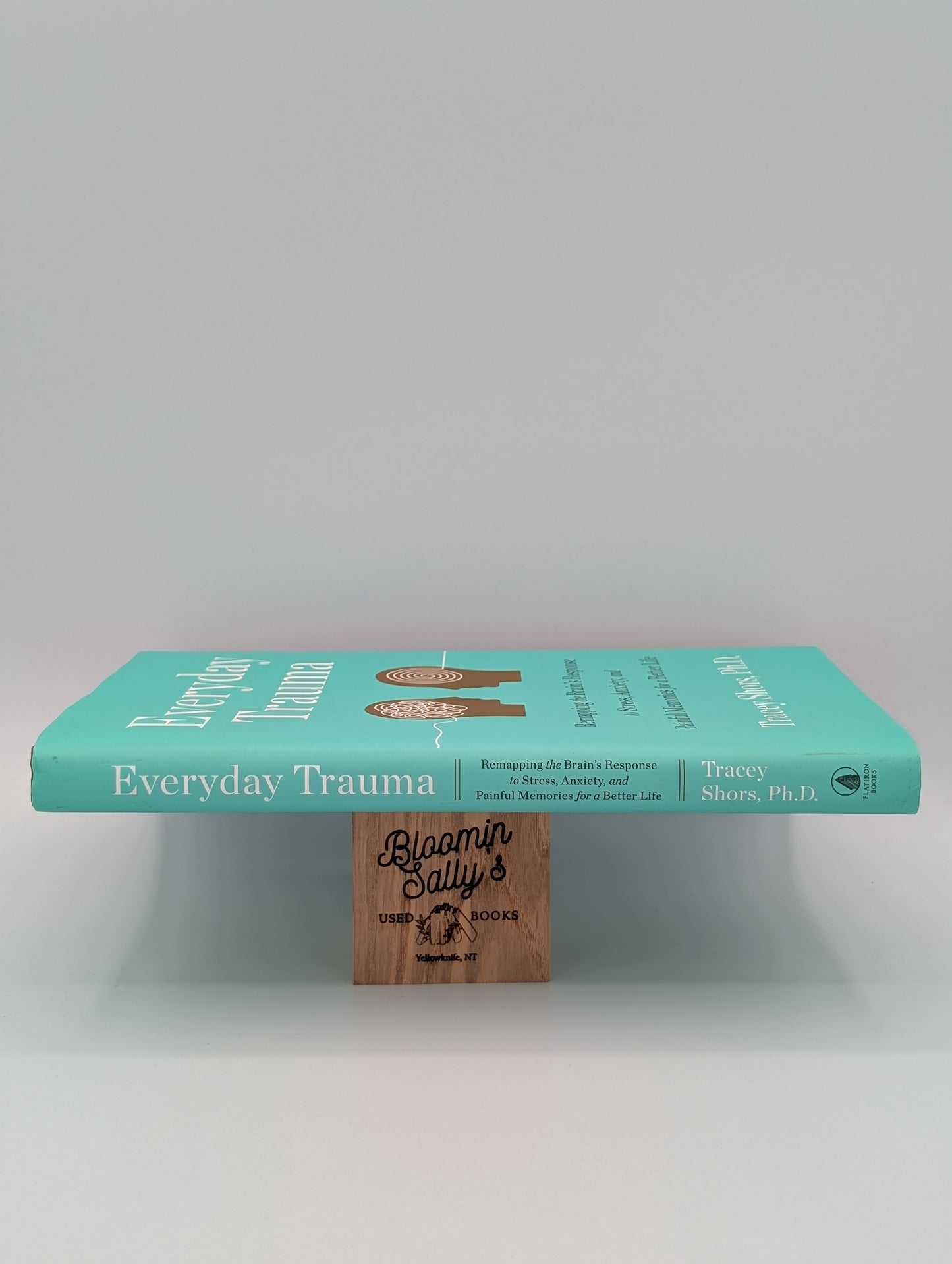 Everyday Trauma: Remapping the Brain's Response to Stress, Anxiety, and Painful Memories for a Better Life