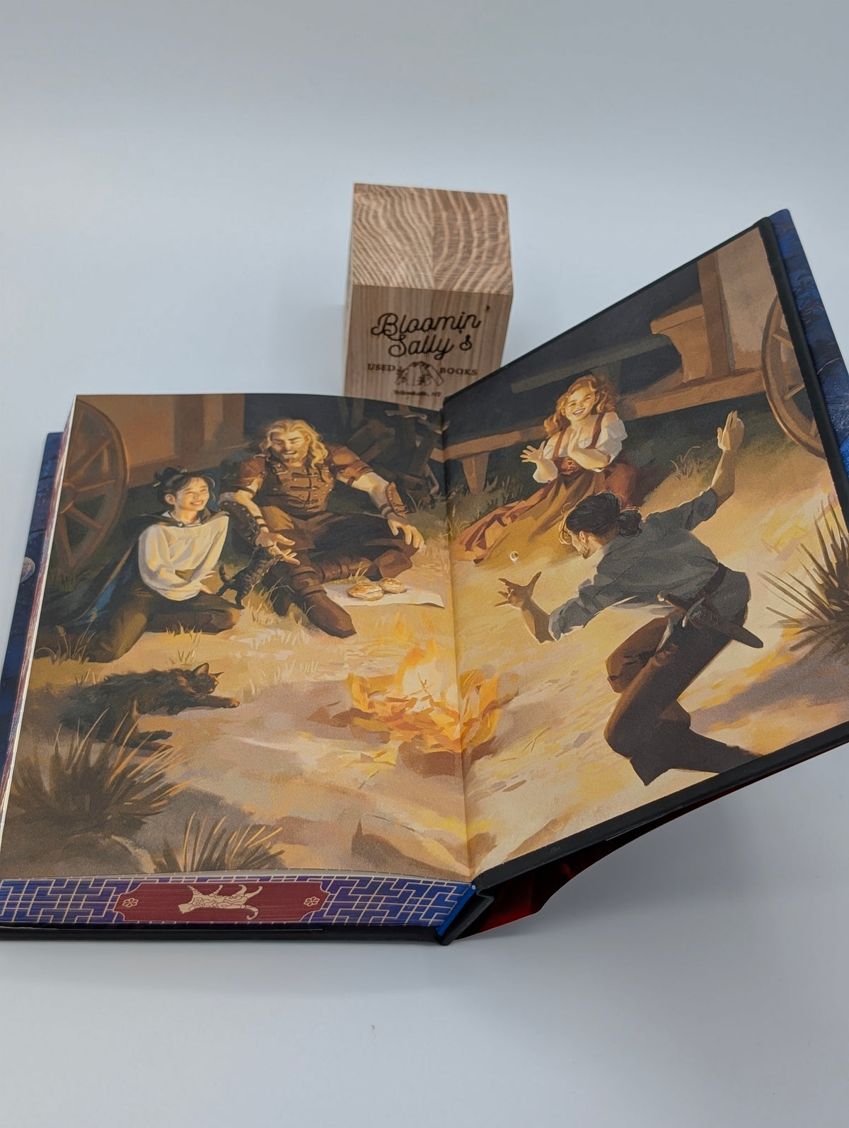 The Teller of Small Fortunes – OwlCrate SE; Fine