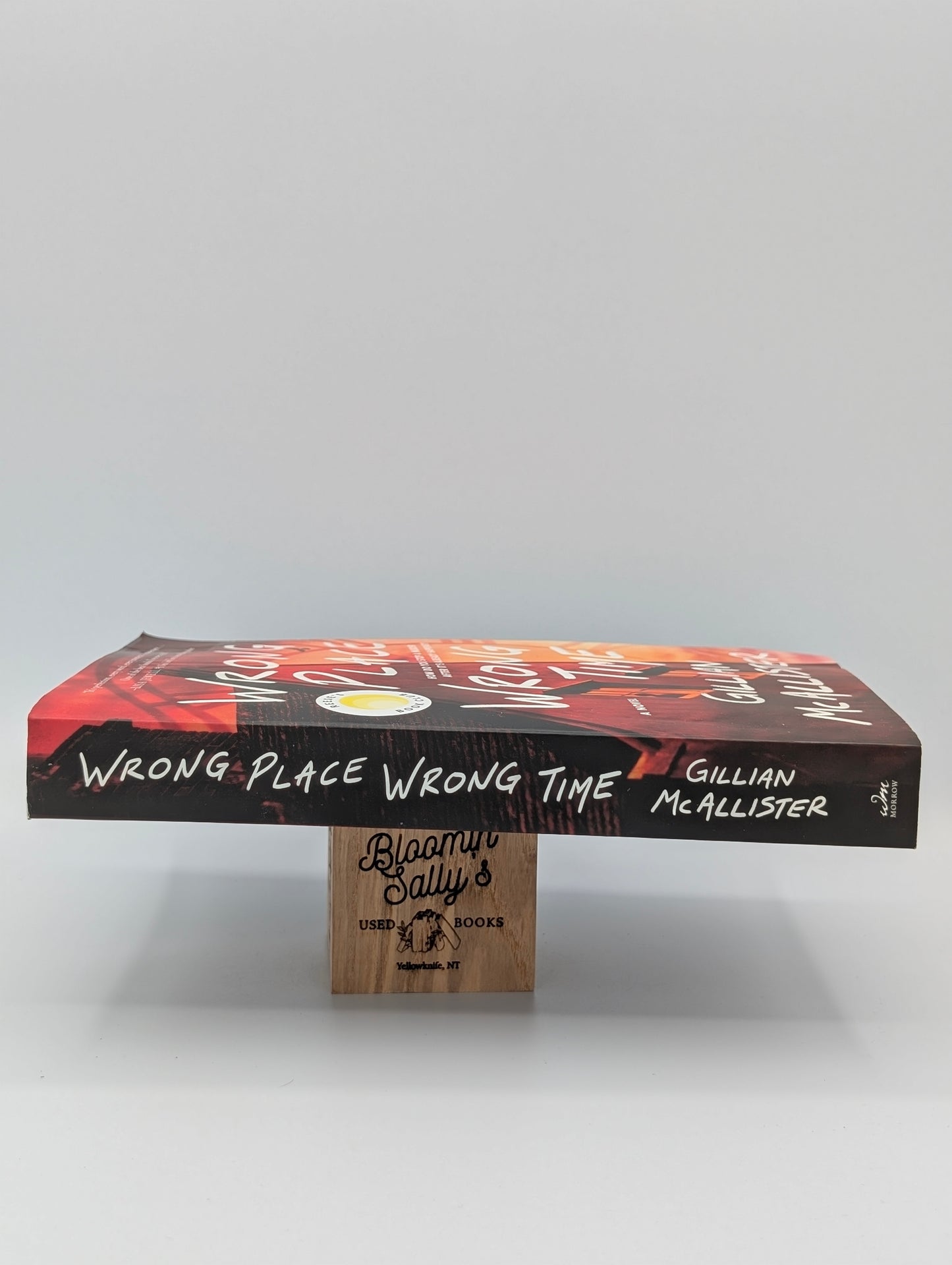 Wrong Place Wrong Time: A Novel (Excellent)