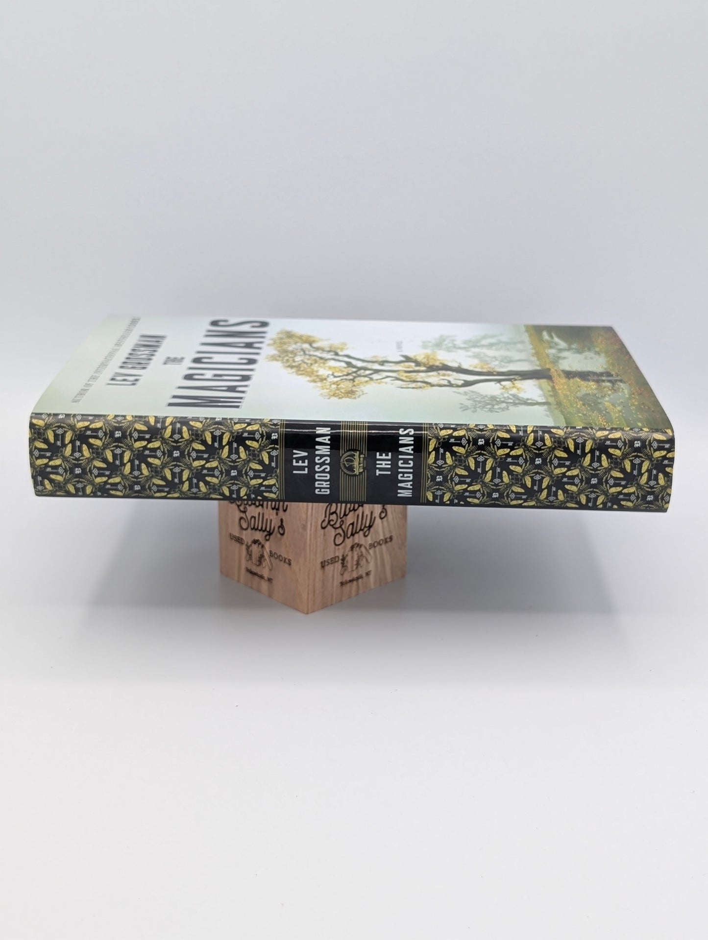 The Magicians: A Novel (Magicians Trilogy)