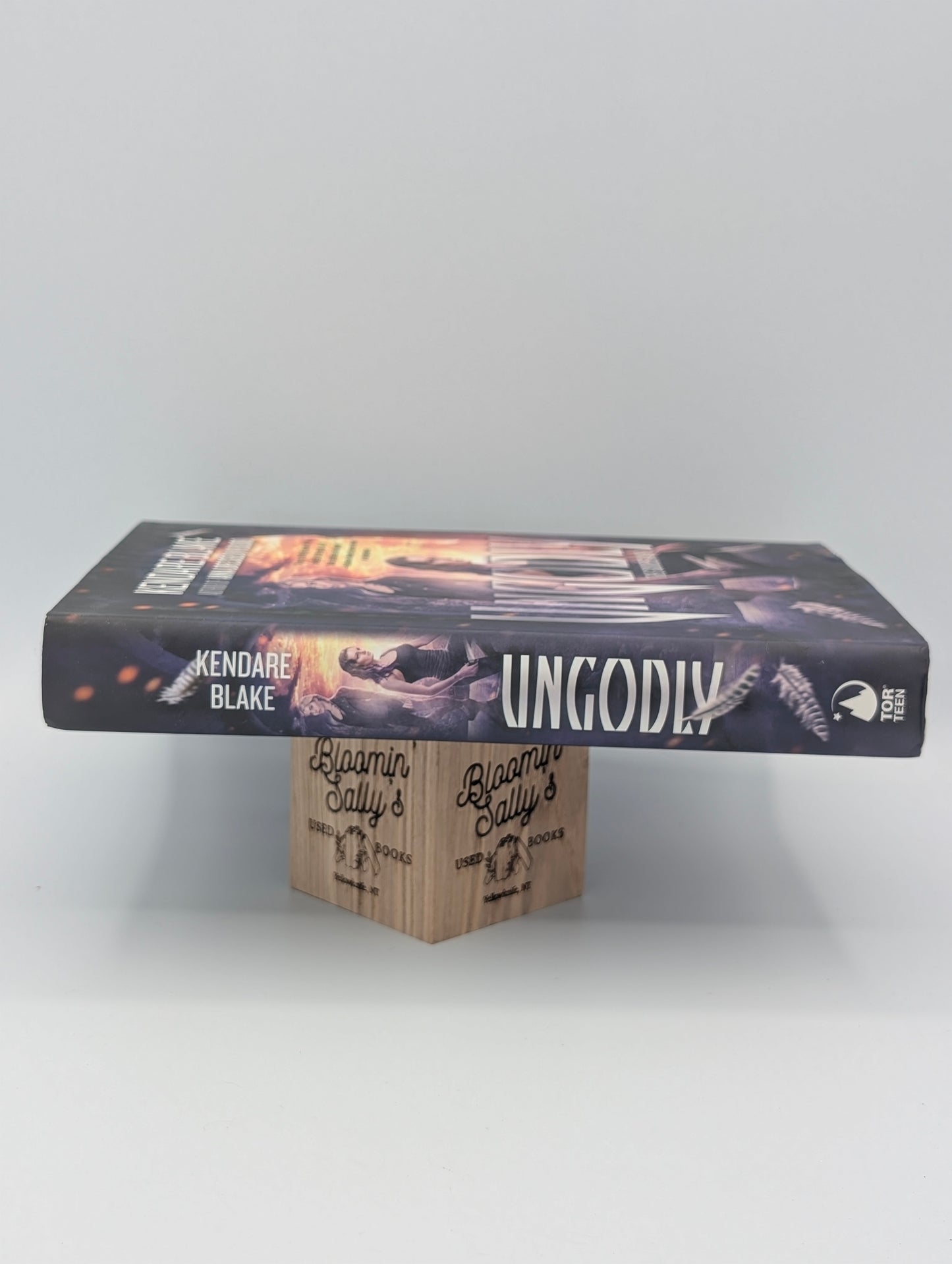 Ungodly: A Novel (The Goddess War, 3)