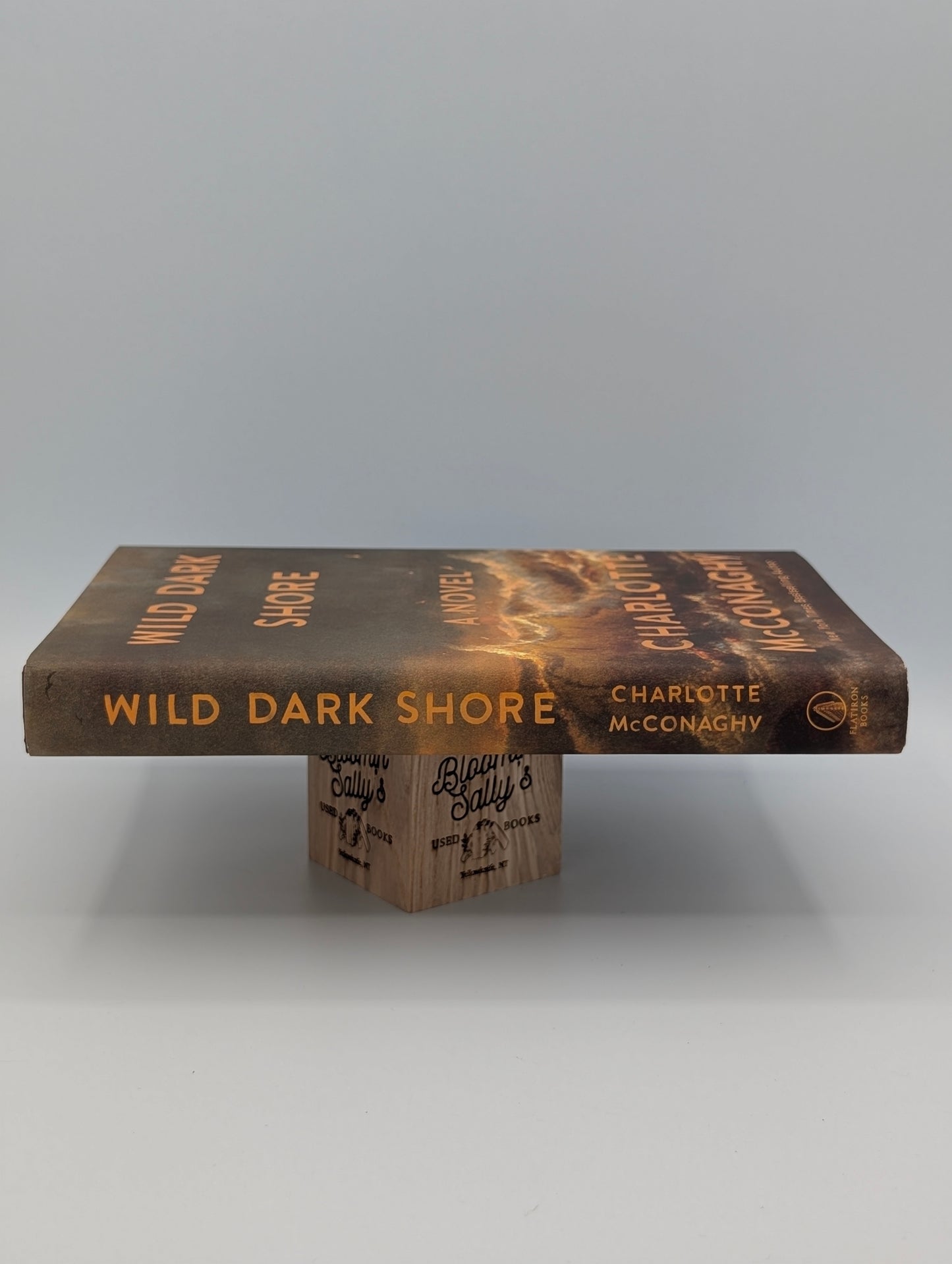 Wild Dark Shore: A Novel (Reese's Book Club)