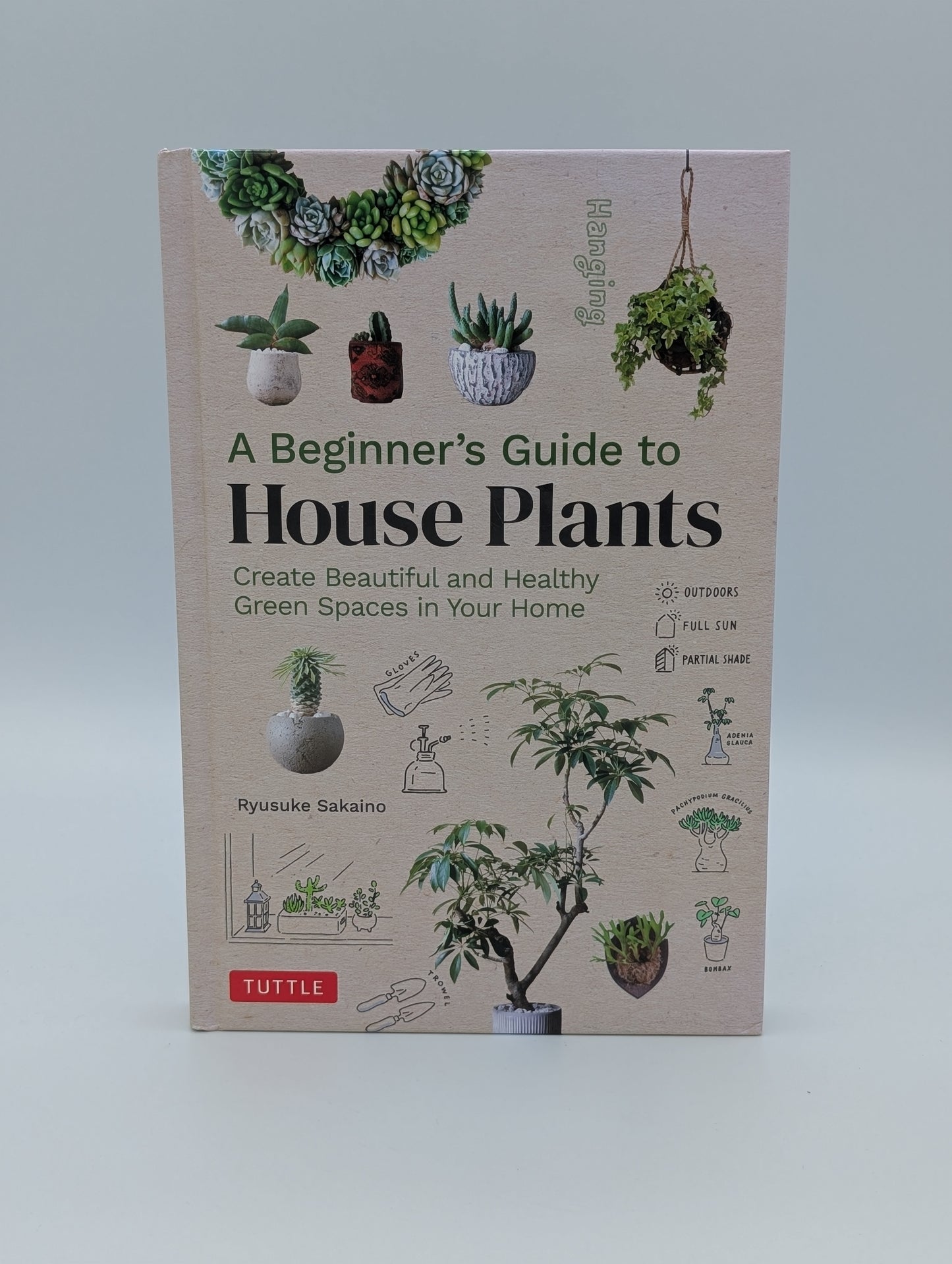 A Beginner's Guide to House Plants: Creating Beautiful and Healthy Green Spaces in Your Home