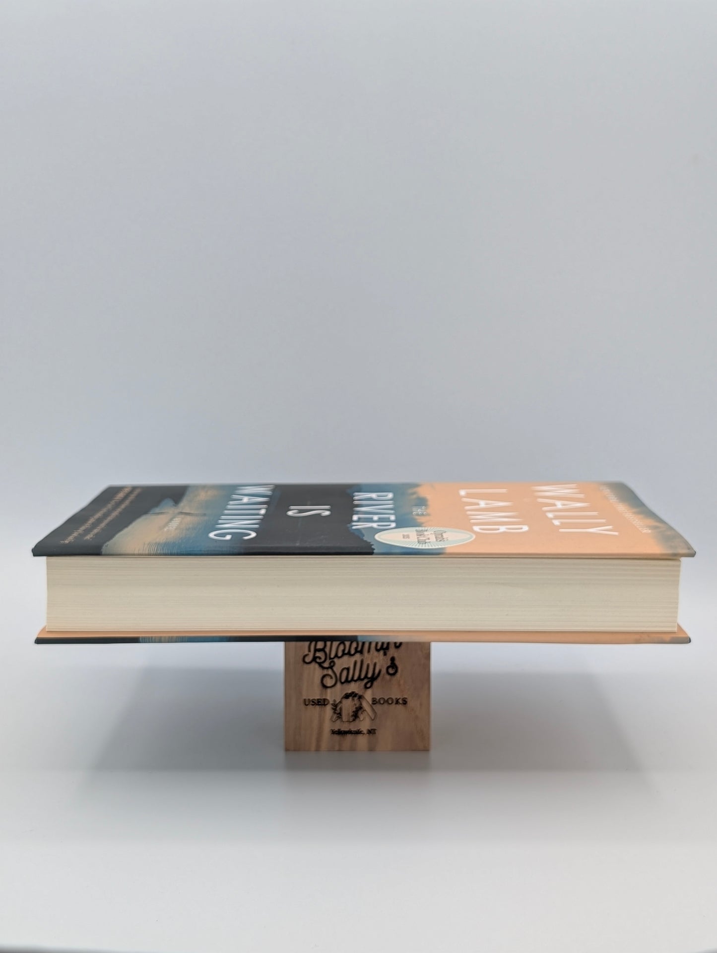 The River Is Waiting: A Novel