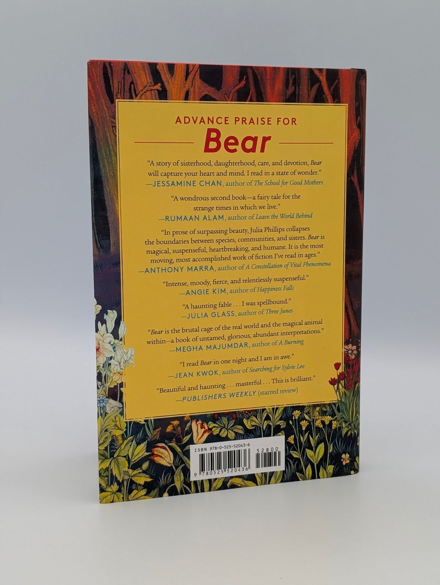 Bear: A Novel