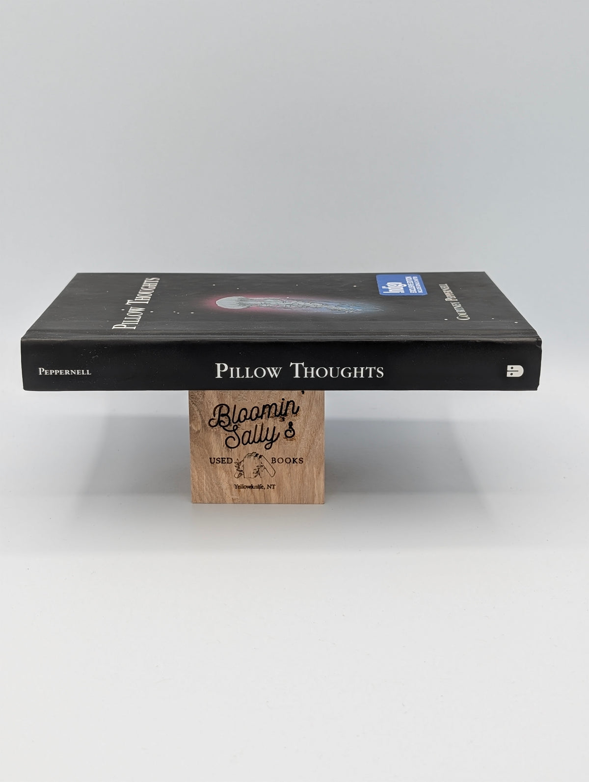 Pillow Thoughts (Exclusive Indigo Edition)