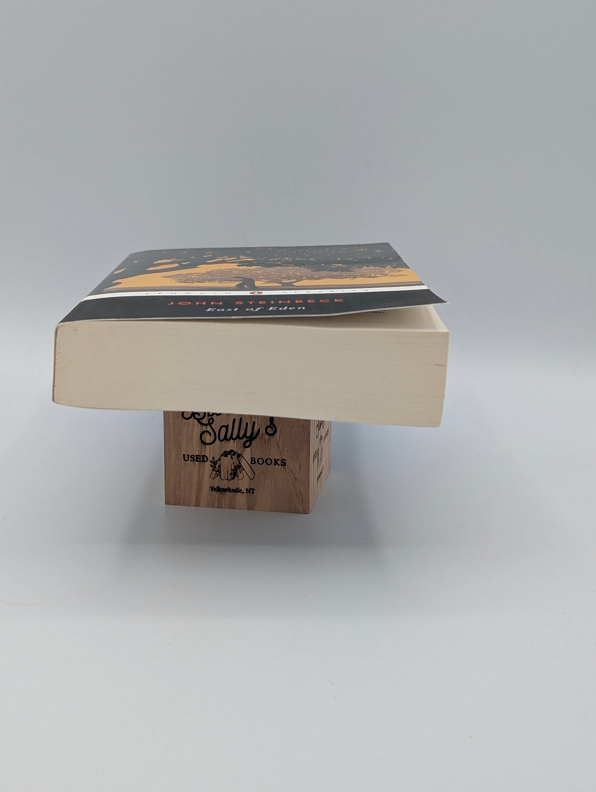 East of Eden (Penguin Twentieth Century Classics)