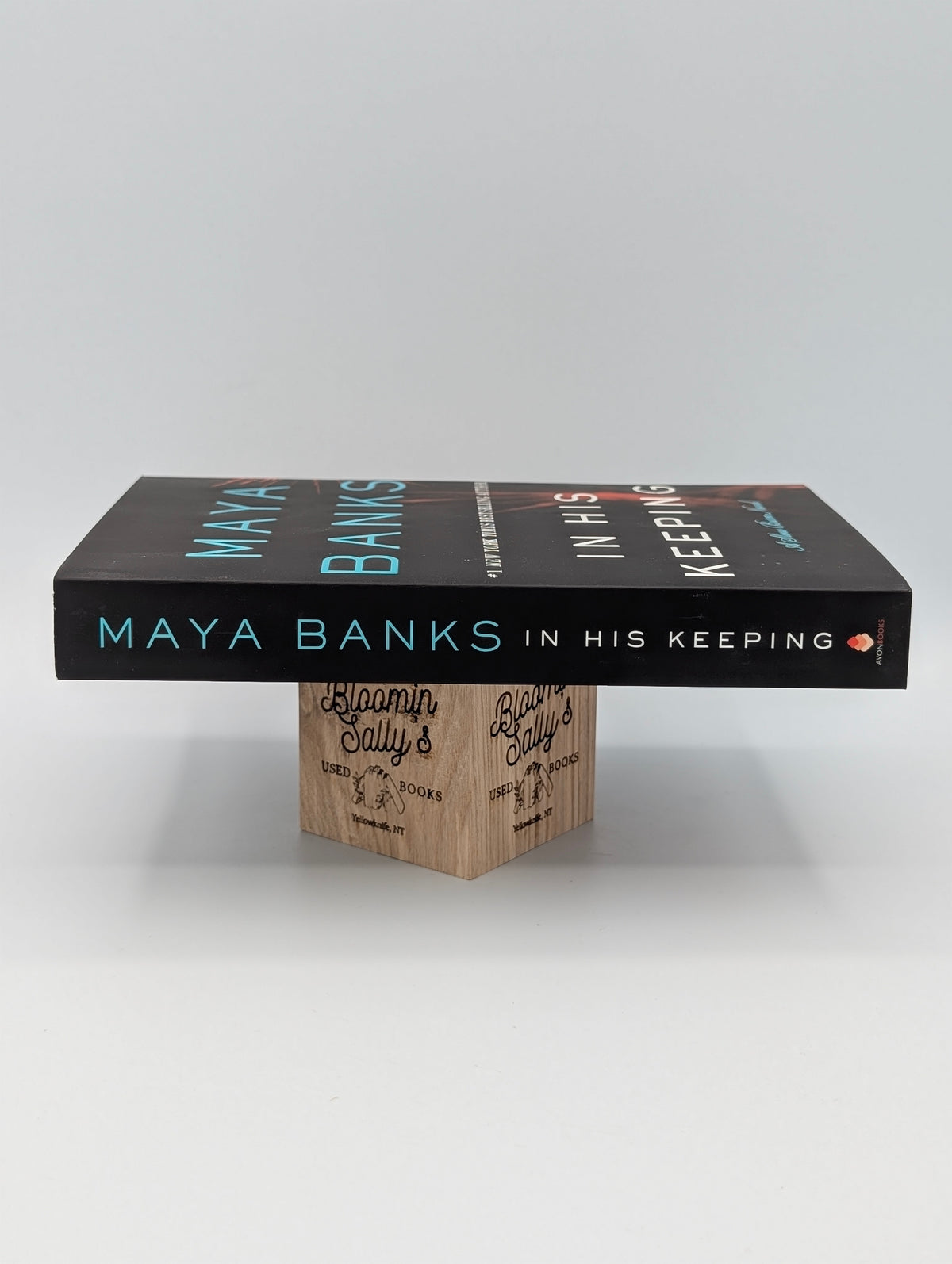 In His Keeping: A Slow Burn Novel