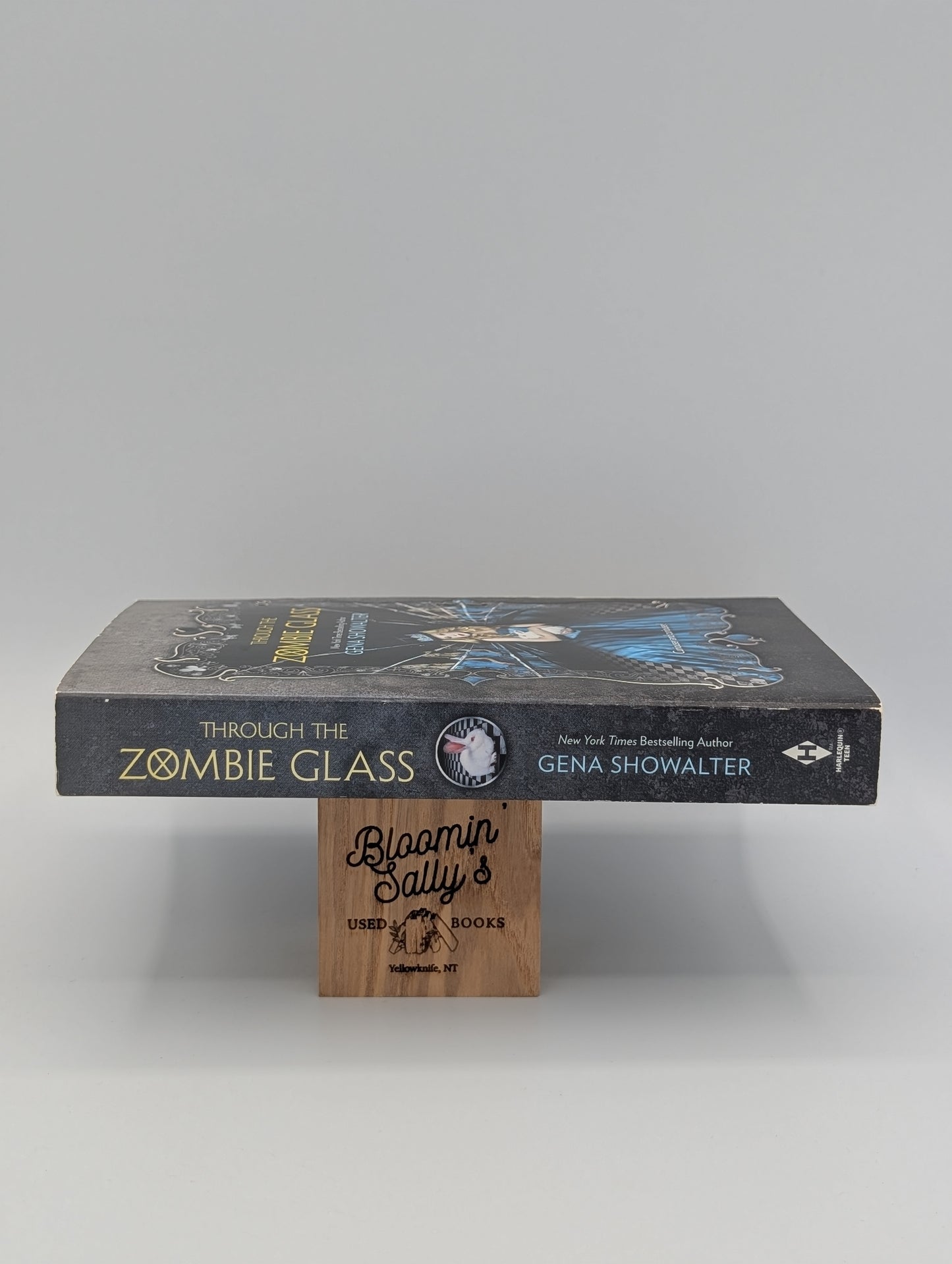 Through the Zombie Glass