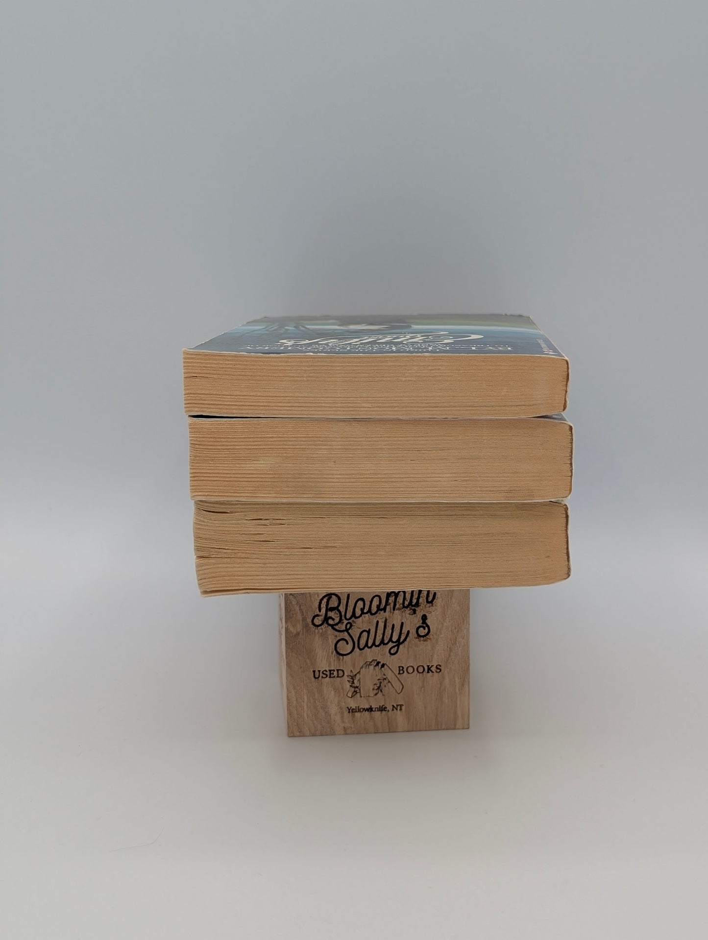 Emily of New Moon Bundle