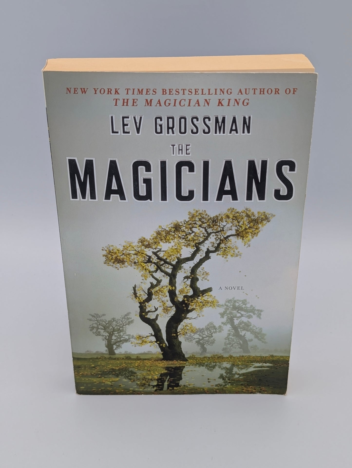 The Magicians: A Novel (Magicians Trilogy)
