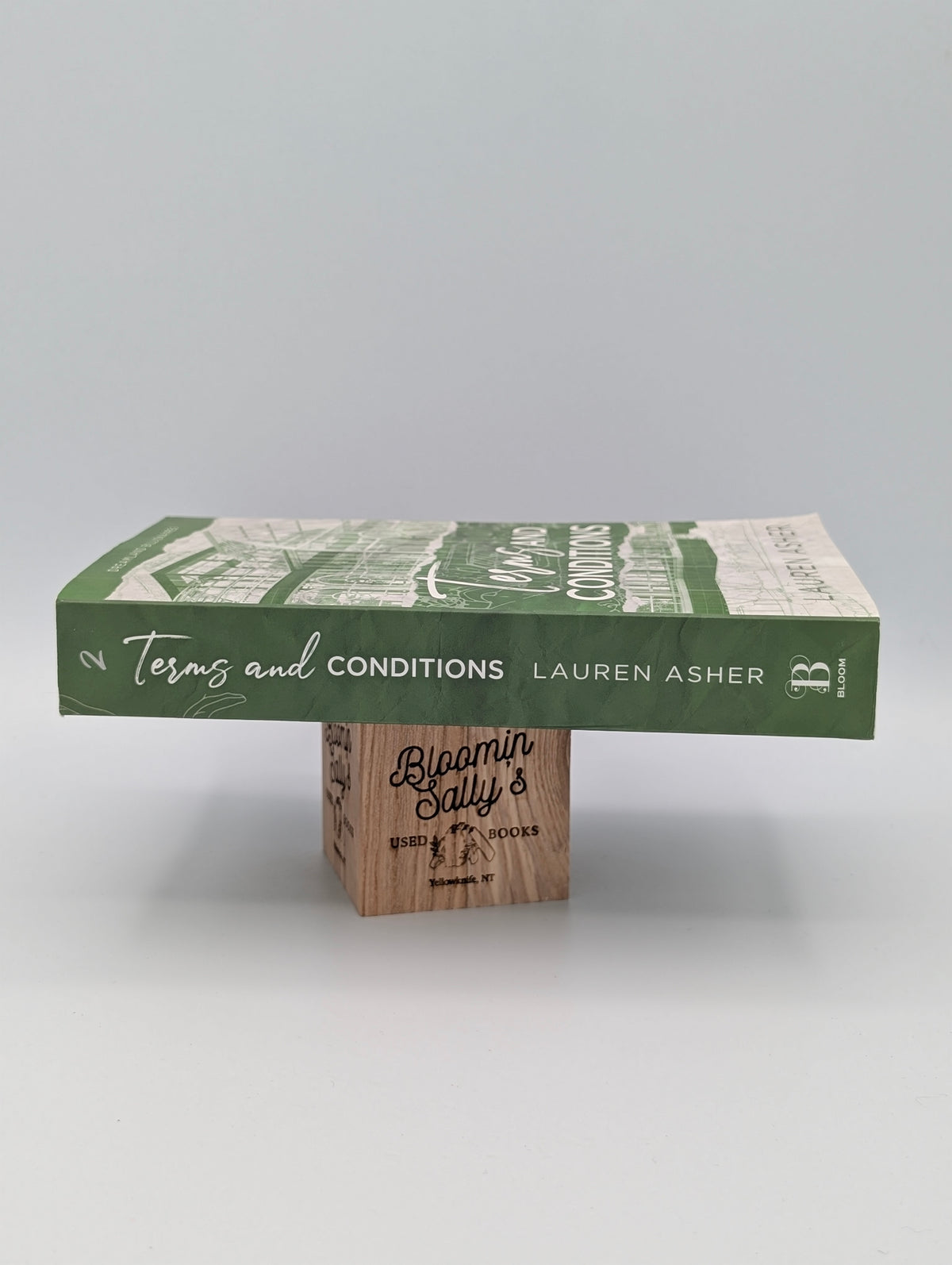 Terms and Conditions: Dreamland Billionaires, 2