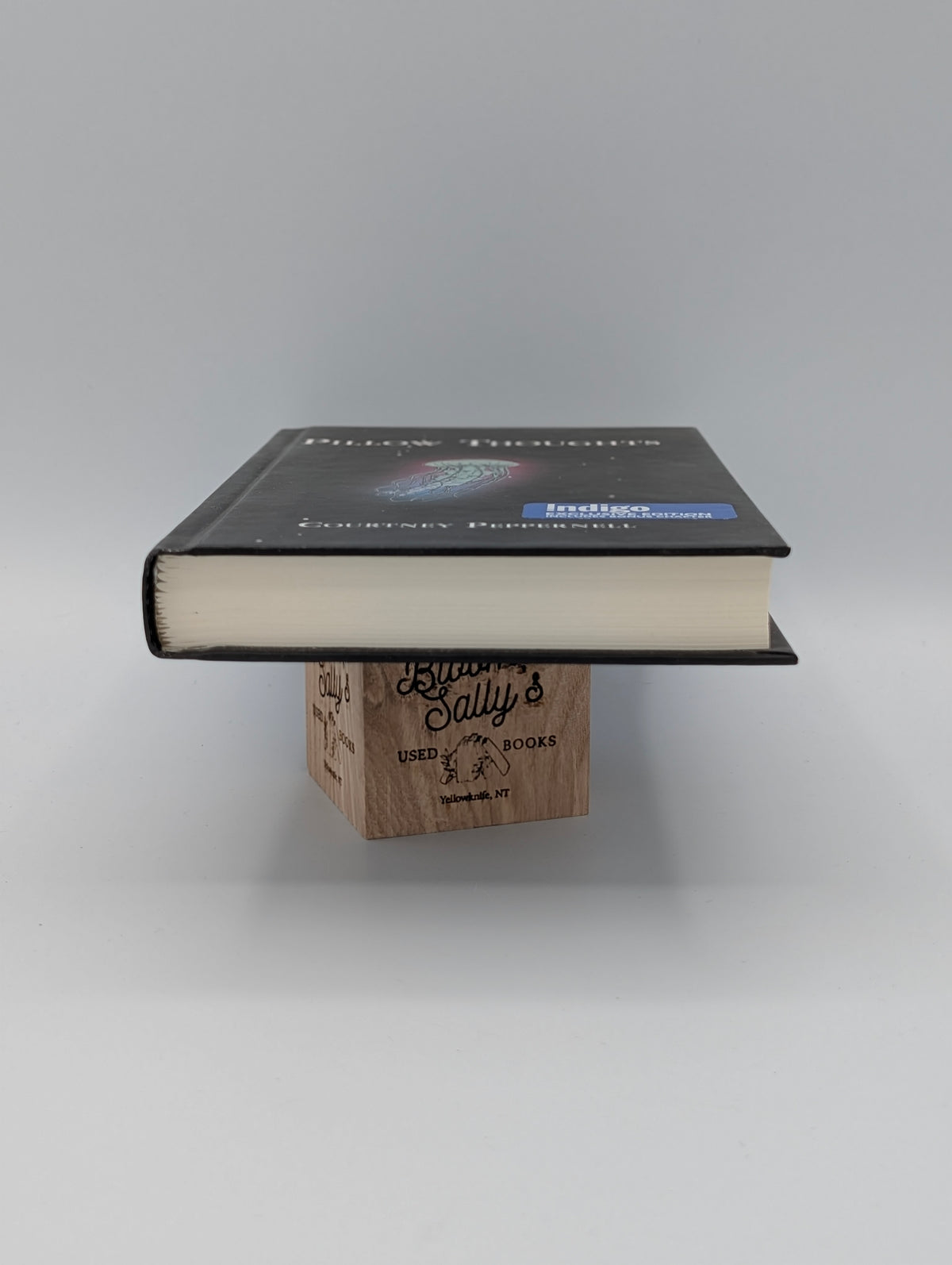 Pillow Thoughts (Exclusive Indigo Edition)
