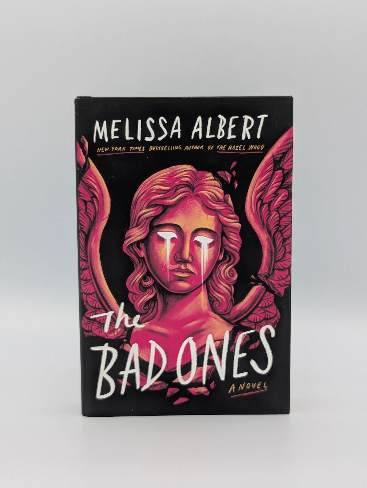 The Bad Ones: A Novel