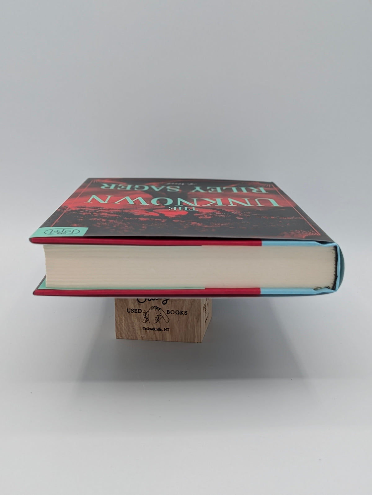 The Unknown: A Novel