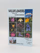 Wildflowers Along the Alaska Highway