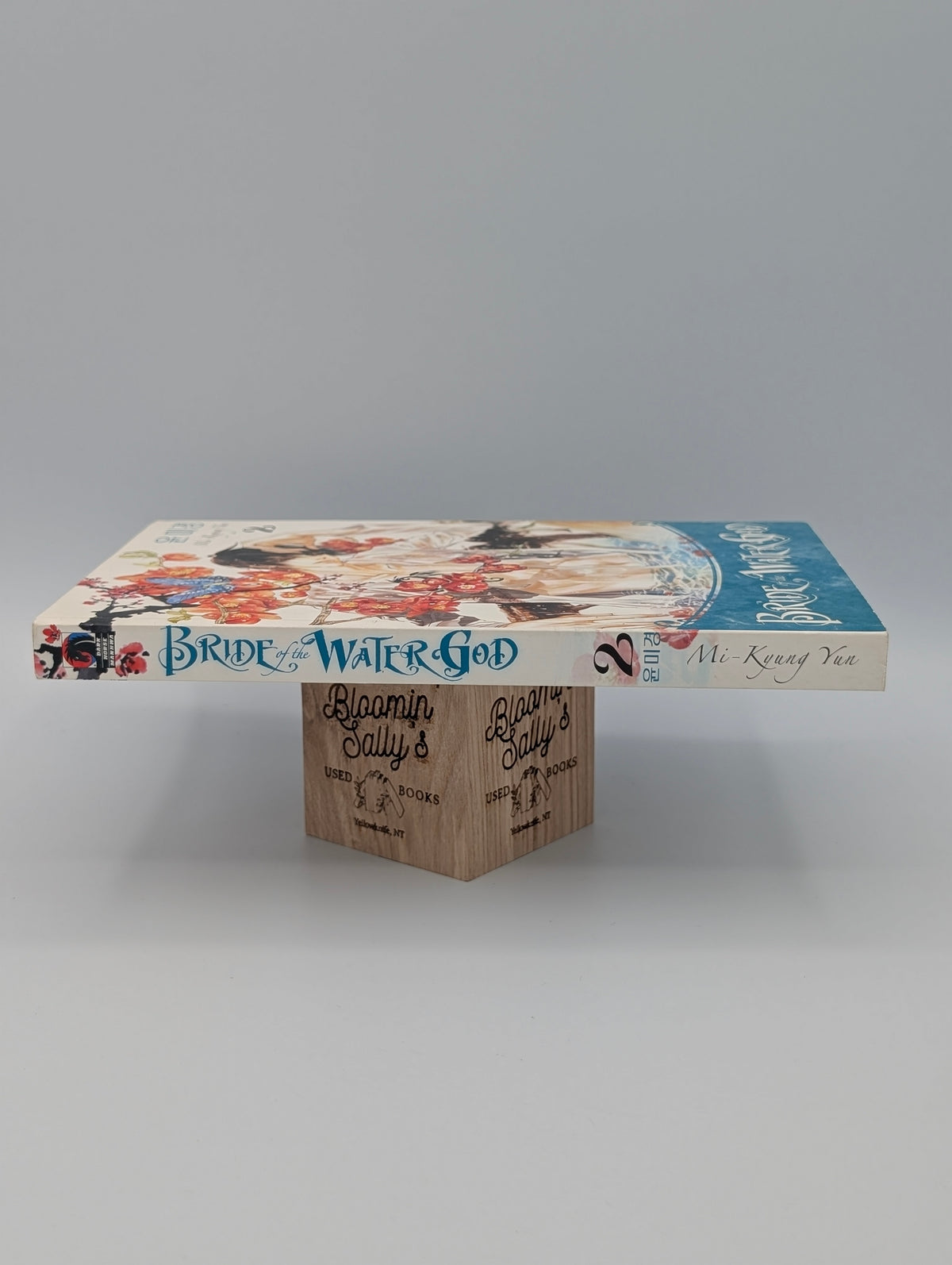 Bride of the Water God, Volume 2