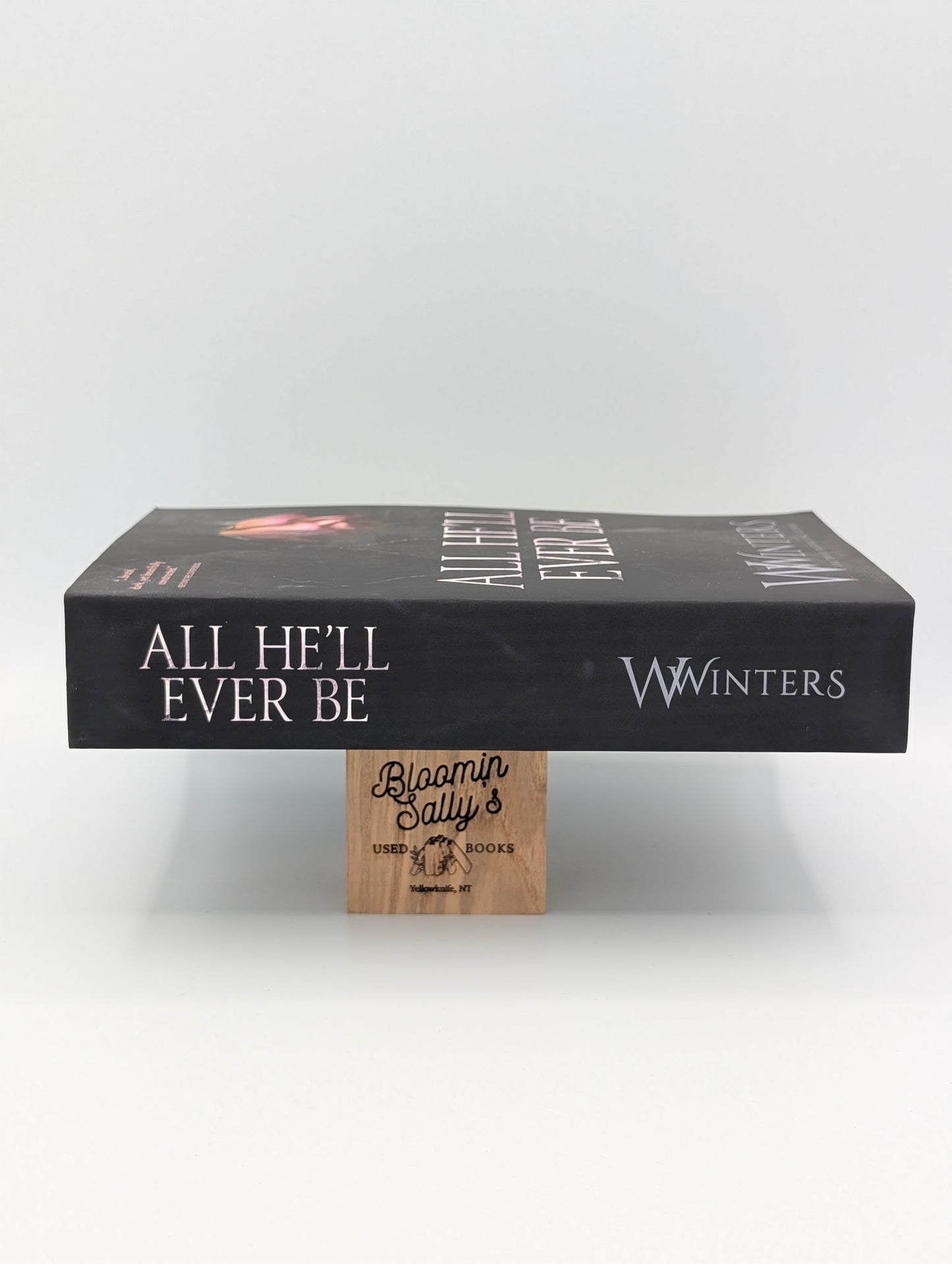 All He'll Ever Be (Merciless World Series)