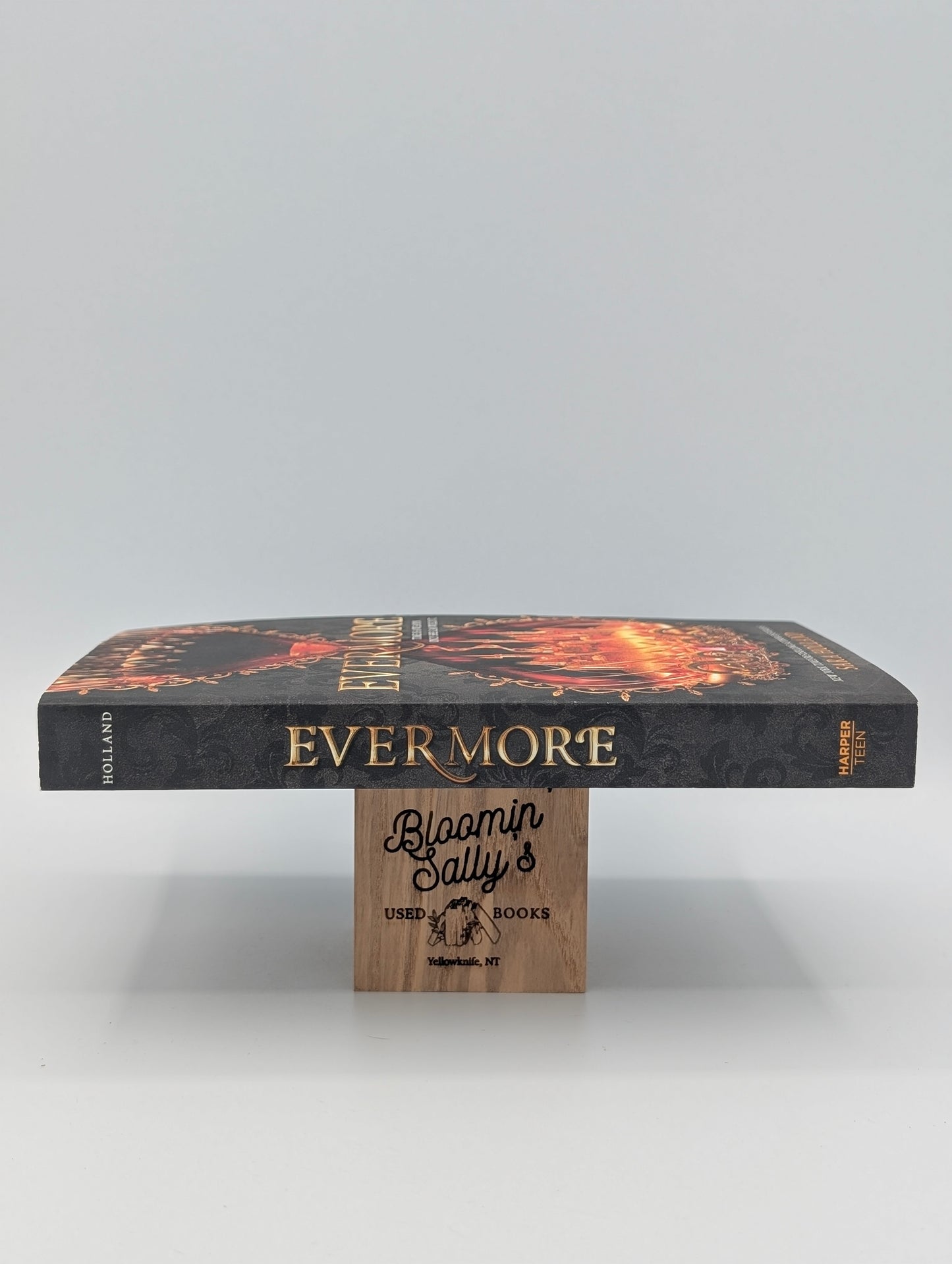 Evermore: A High-Stakes and Star-Crossed YA Fantasy of Love, Secrets, and Past Lives