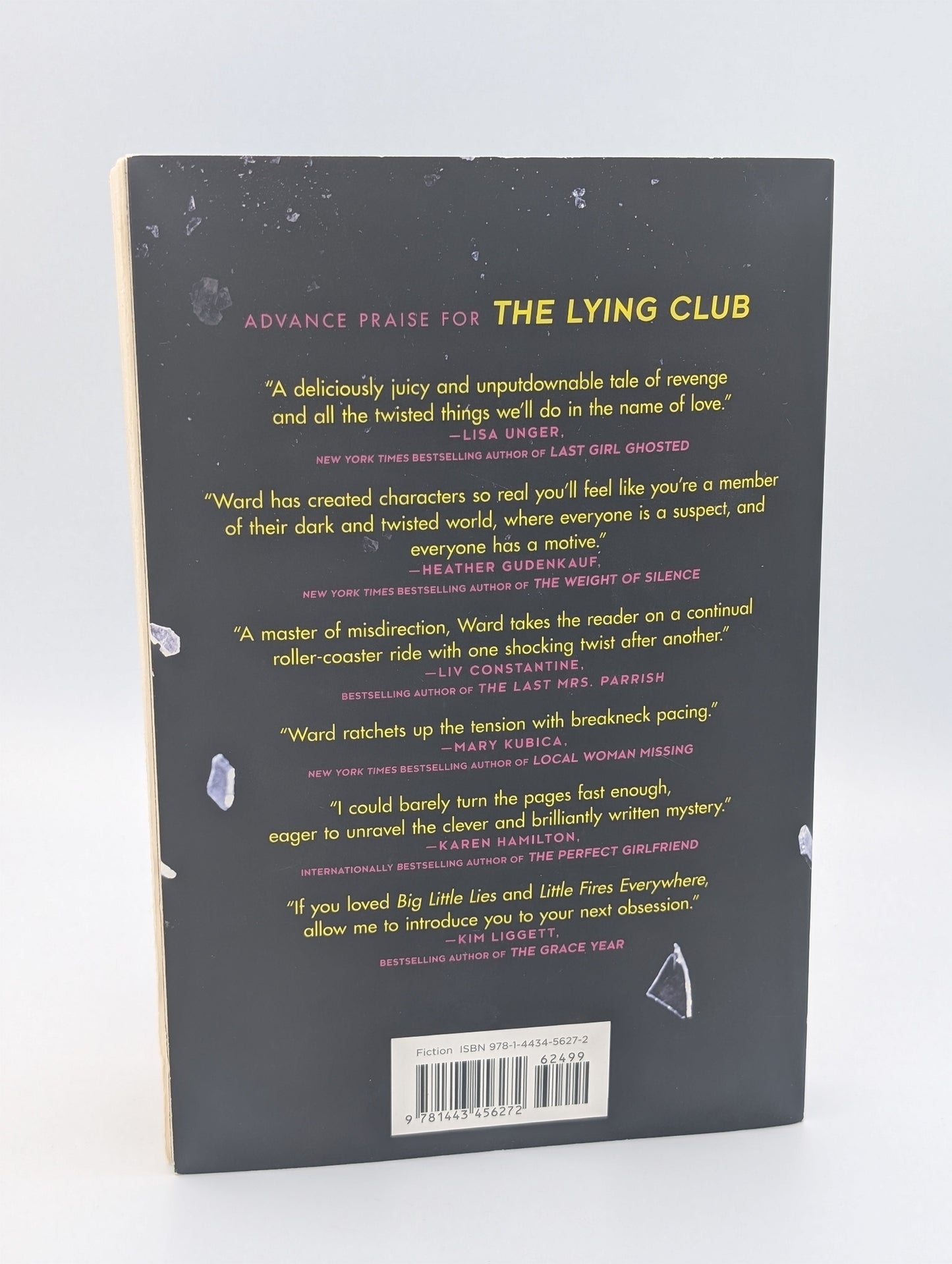 The Lying Club: A Novel