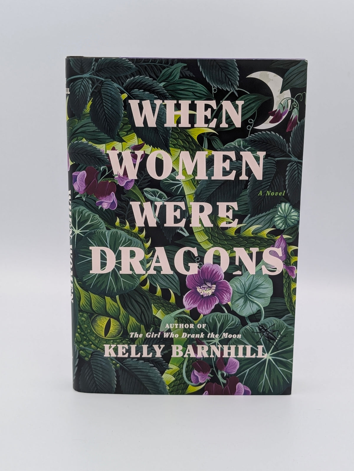 Quand les femmes étaient des dragons : un roman