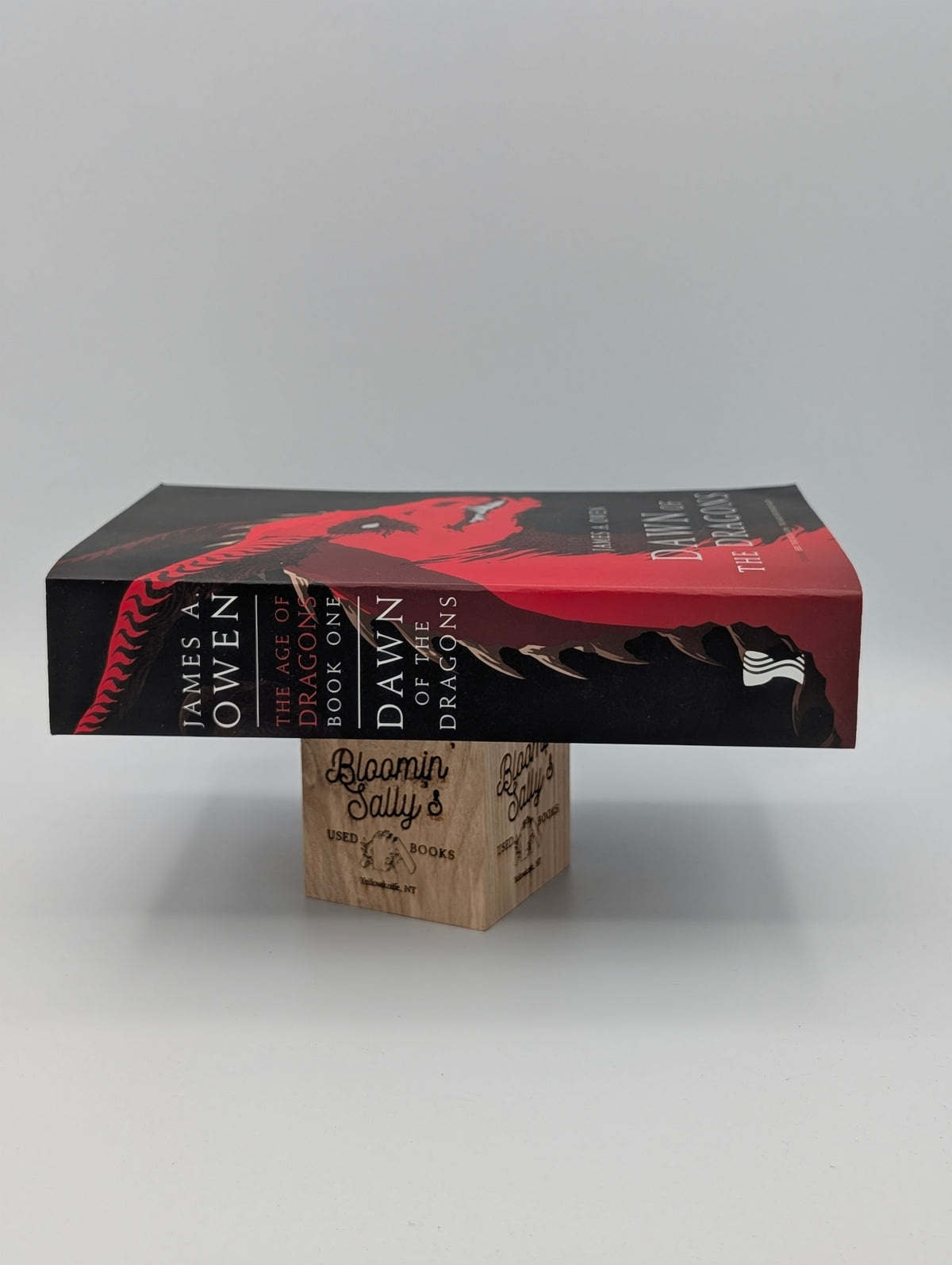 Dawn of the Dragons: Here, There Be Dragons; The Search for the Red Dragon (The Age of Dragons)