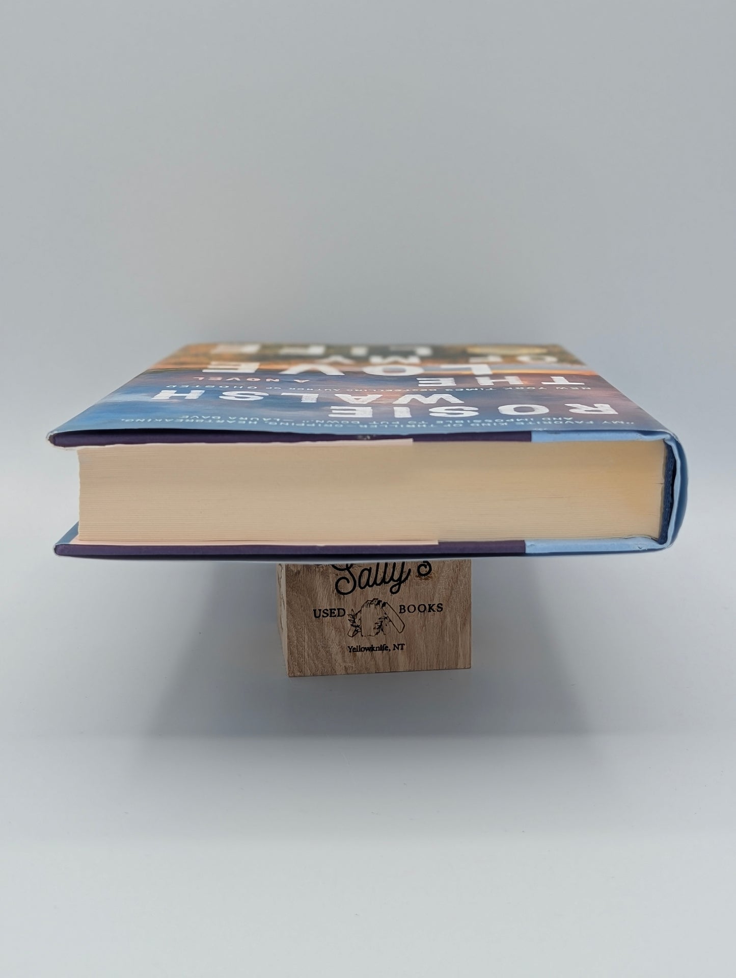 The Love of My Life: A Novel (A GMA Book Club Pick)
