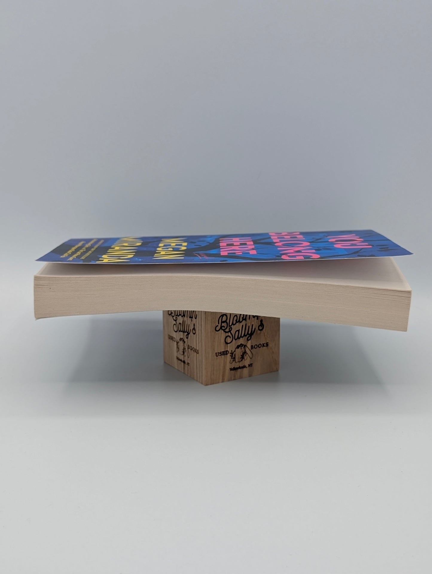 You Belong Here: A Novel