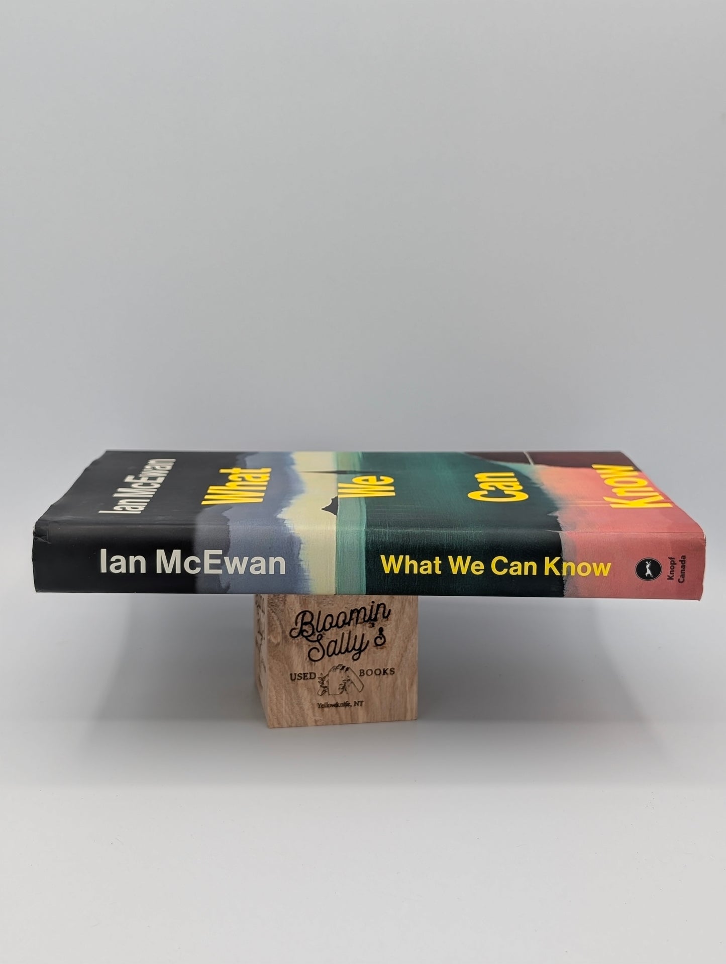 What We Can Know: A Novel
