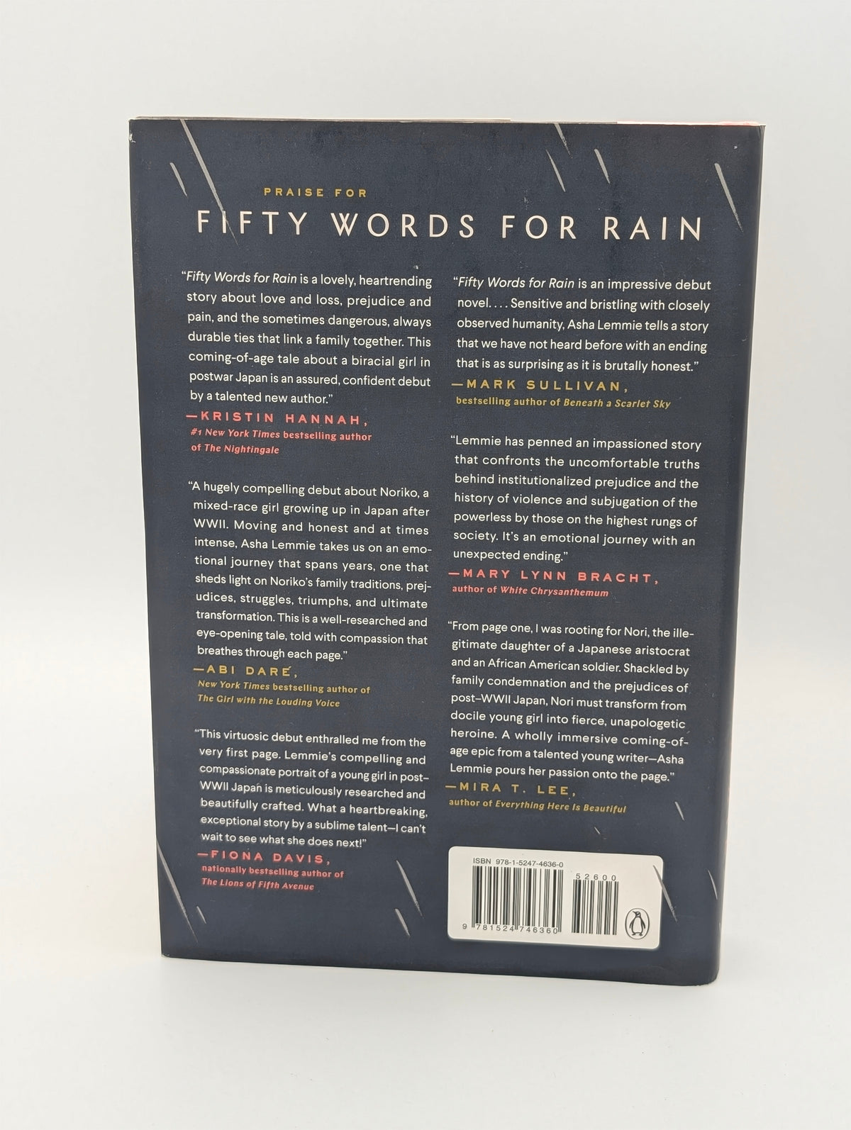 Cinquante mots pour la pluie : un roman