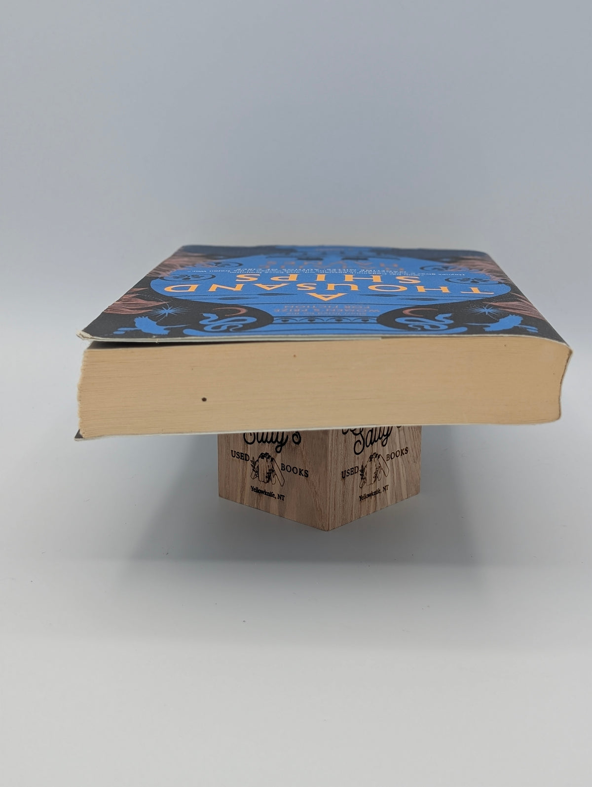 A Thousand Ships: A Novel