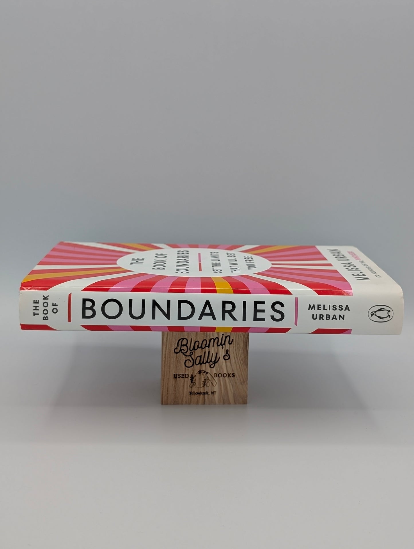 The Book of Boundaries: Set the Limits That Will Set You Free
