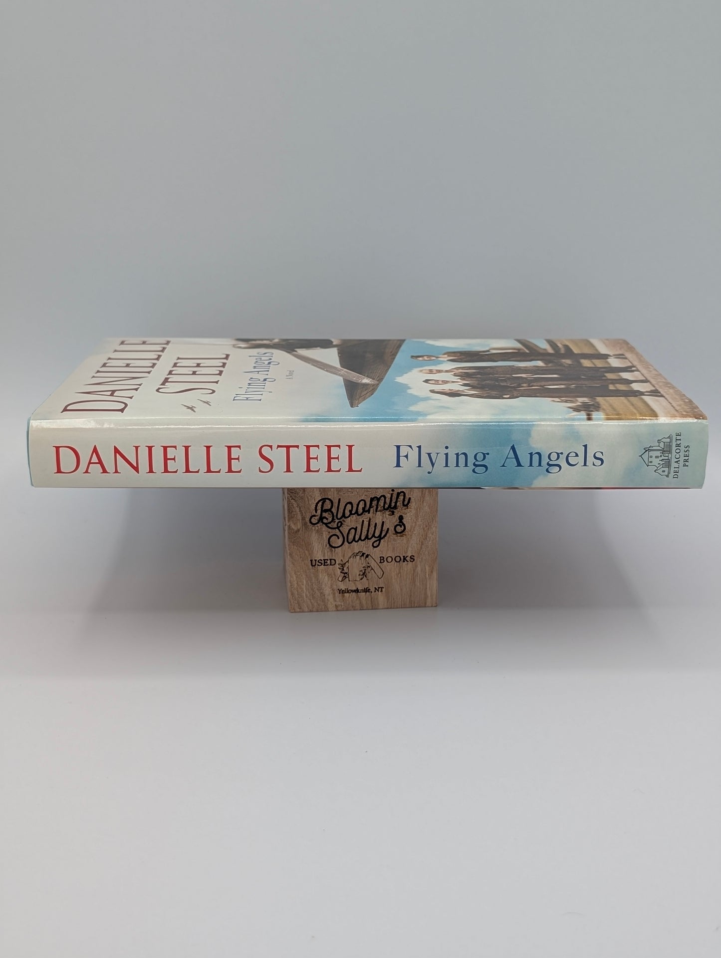 Flying Angels: A Novel