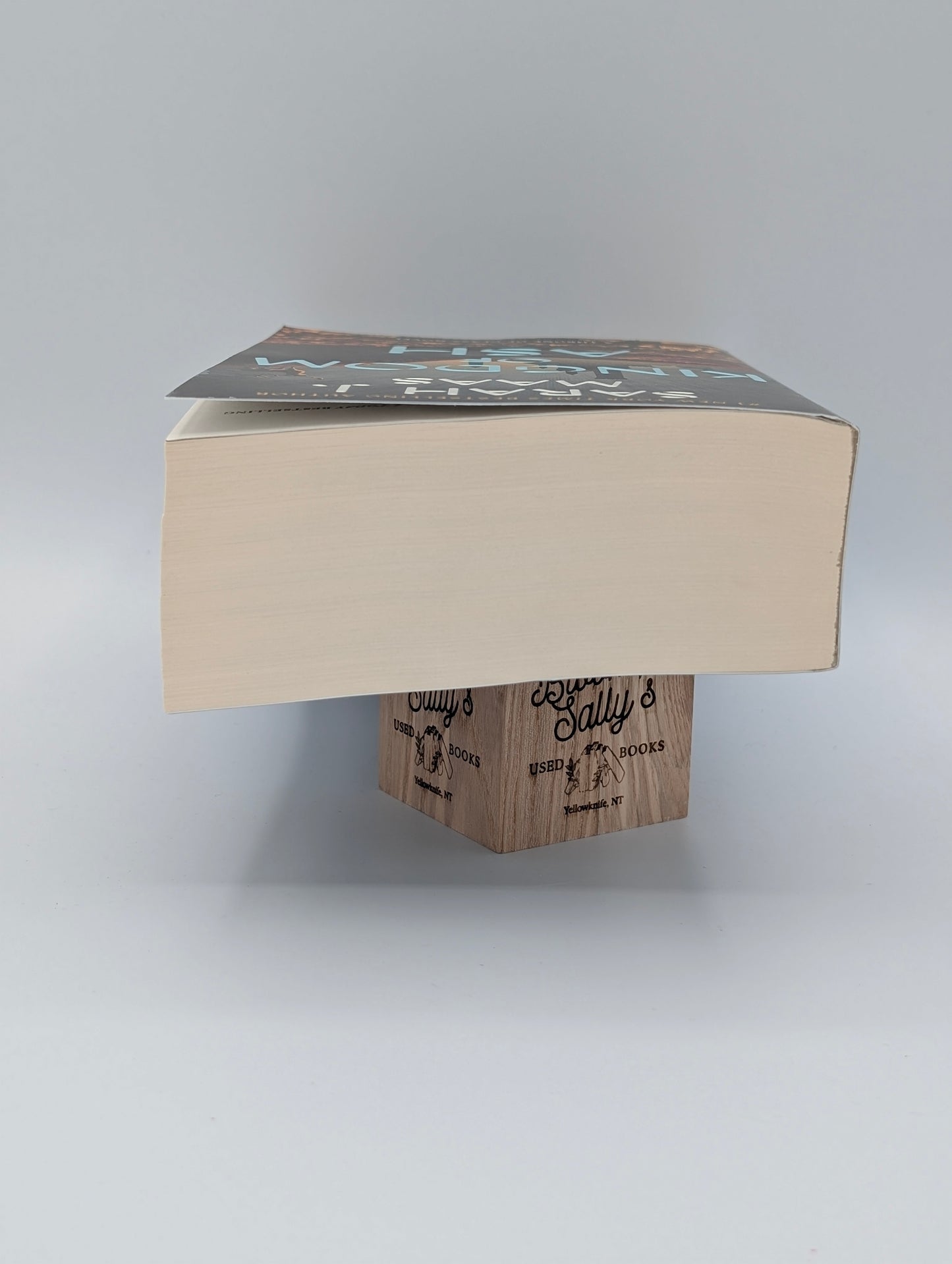Kingdom of Ash (Throne of Glass, 7)