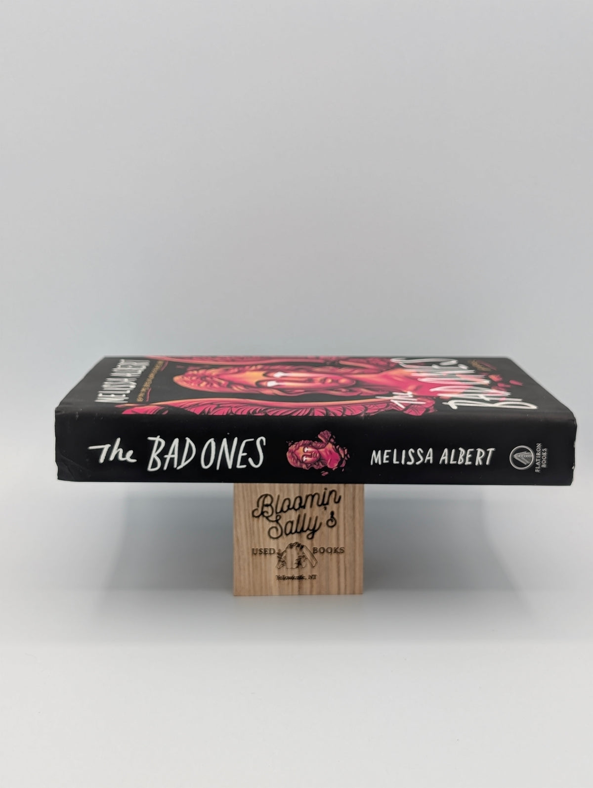 The Bad Ones: A Novel