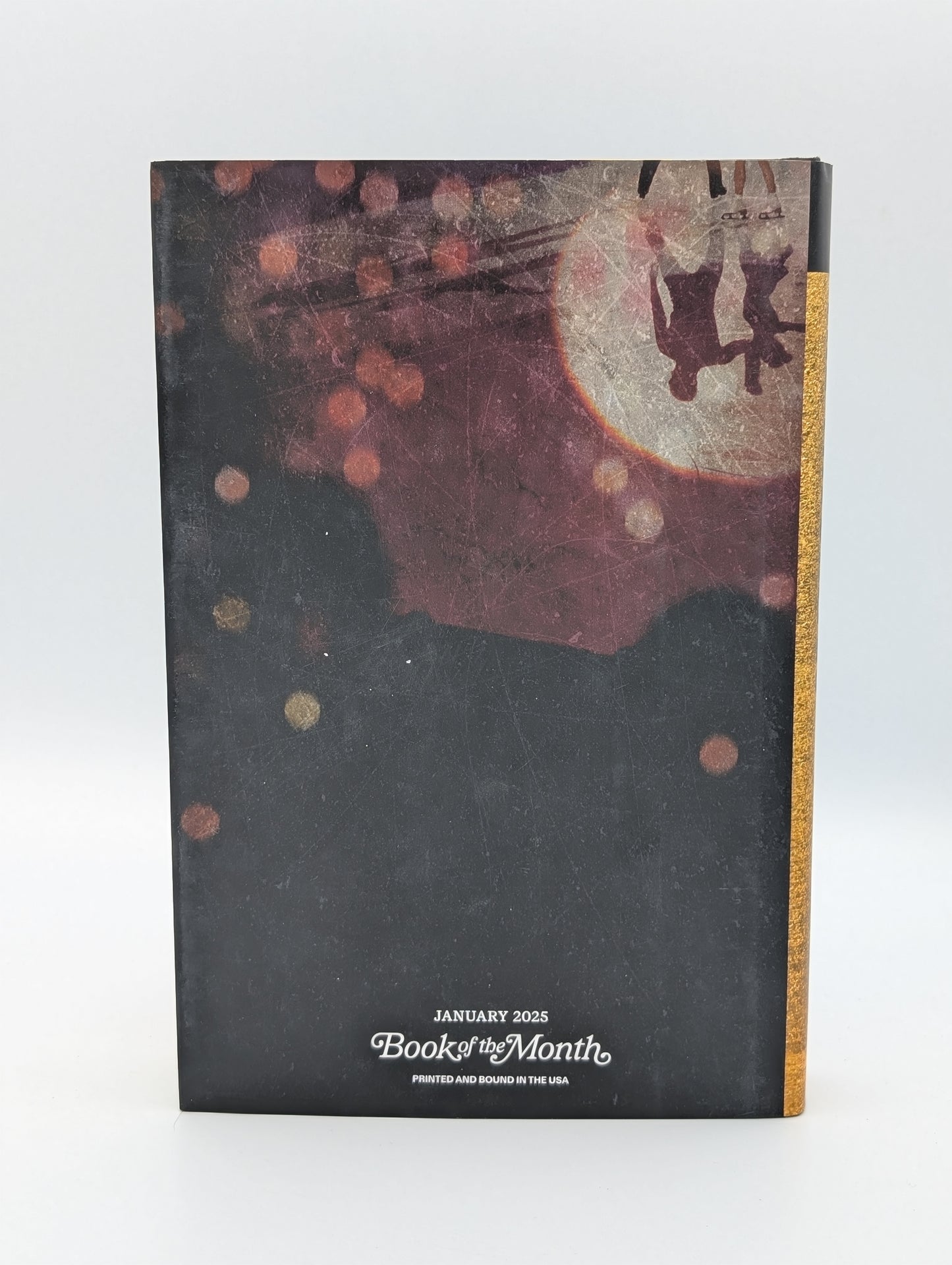 The Favorites: A Novel (BOTM)