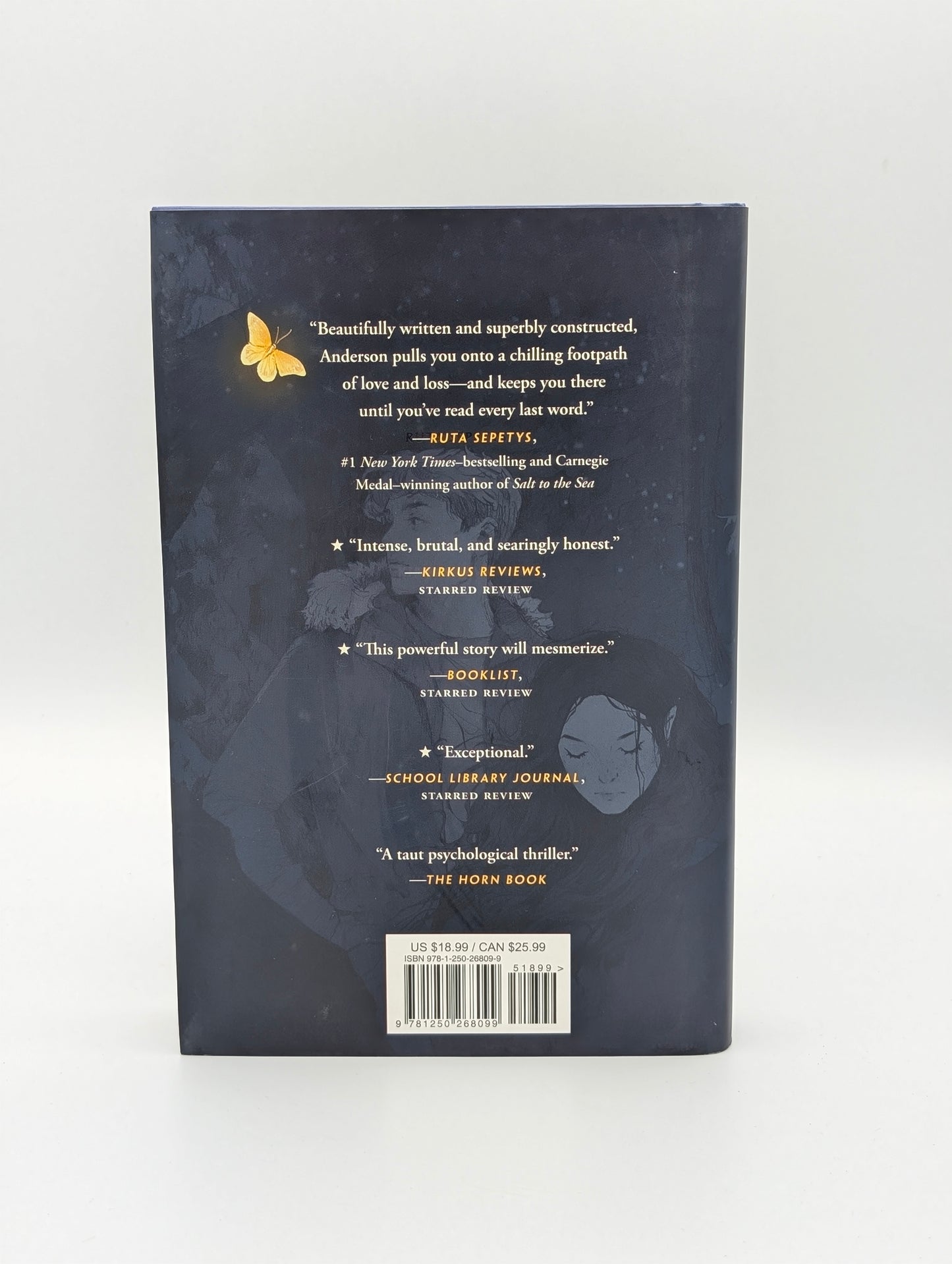 What Beauty There Is: A Novel