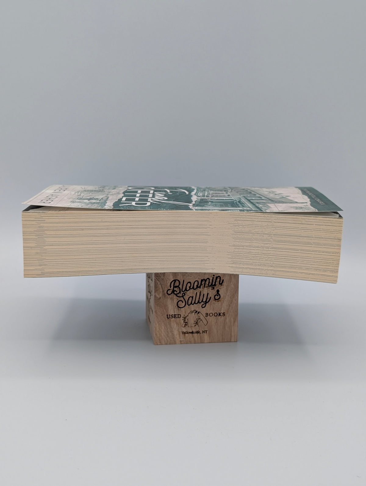 Final Offer (Dreamland Billionaires, 3)