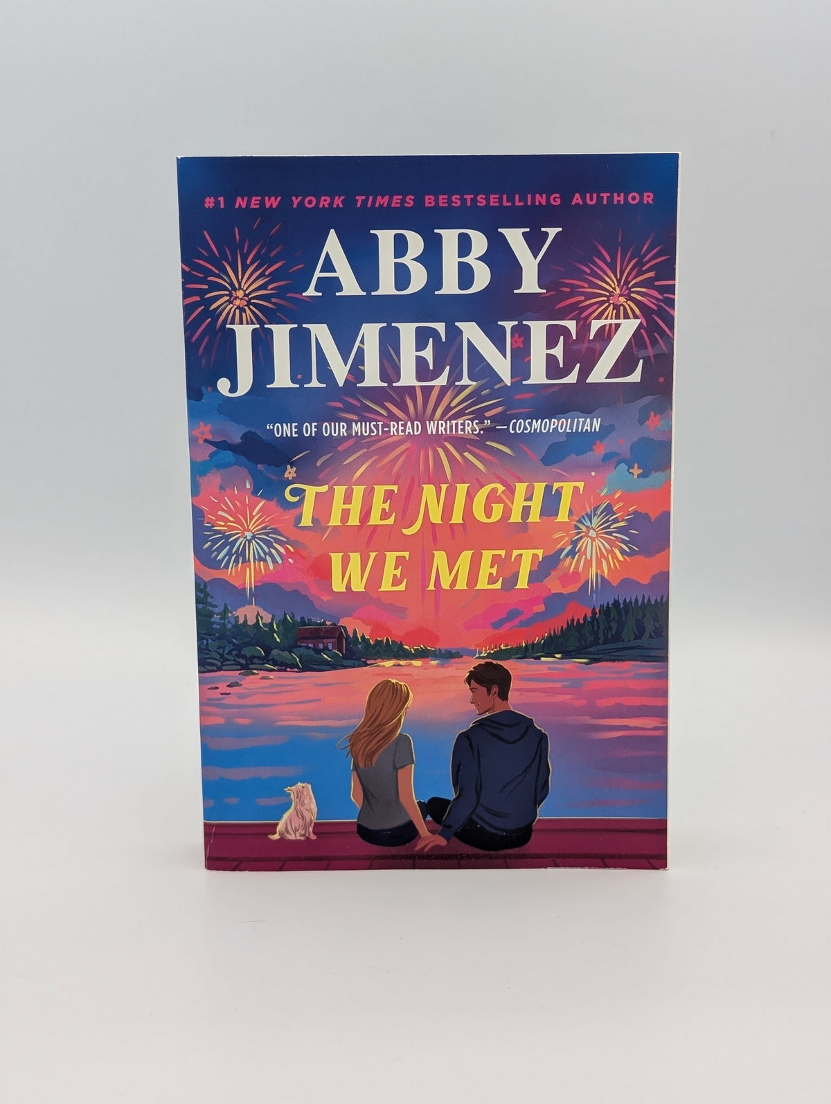 The Night We Met