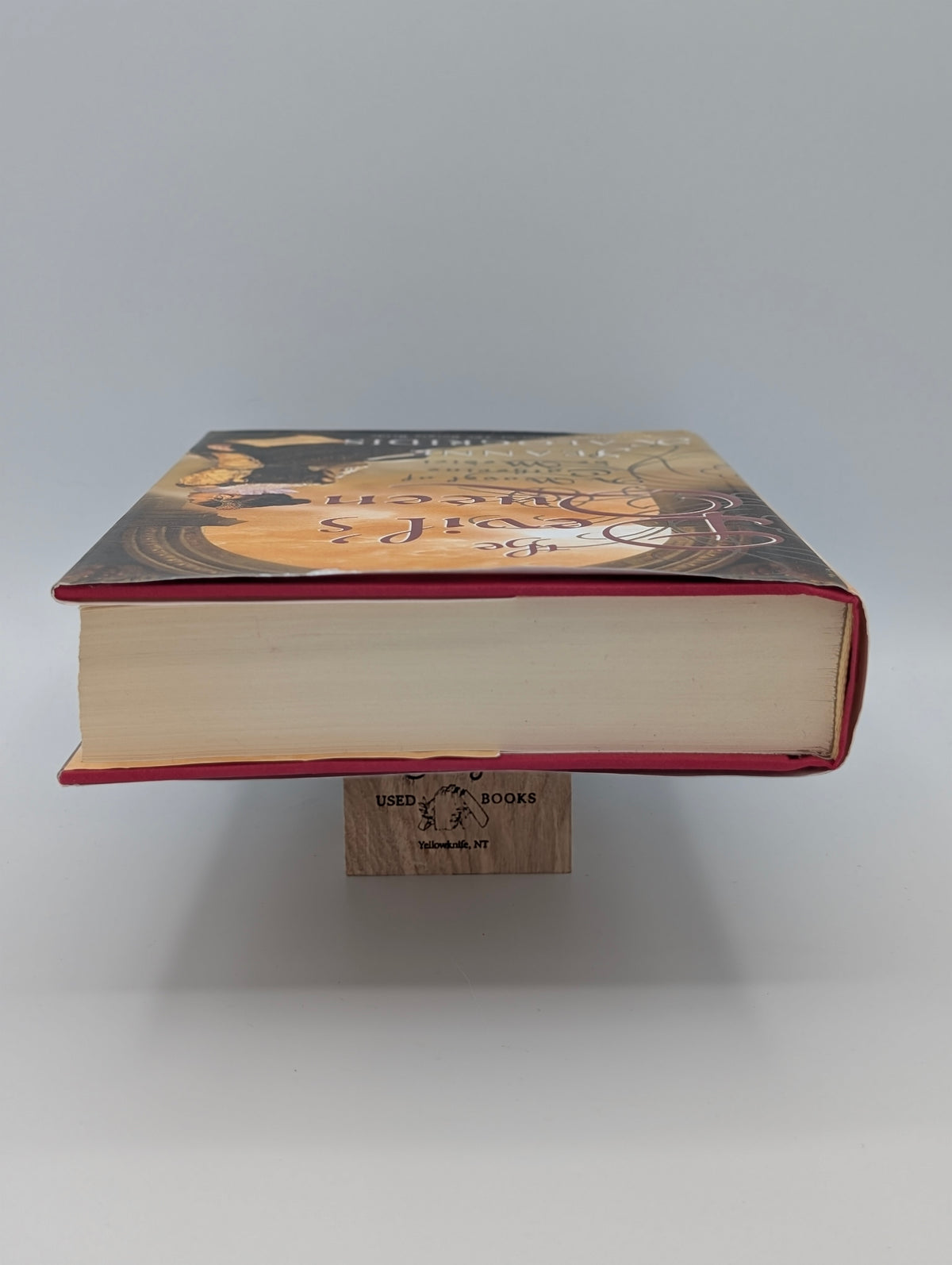 The Devil's Queen: A Novel of Catherine de Medici