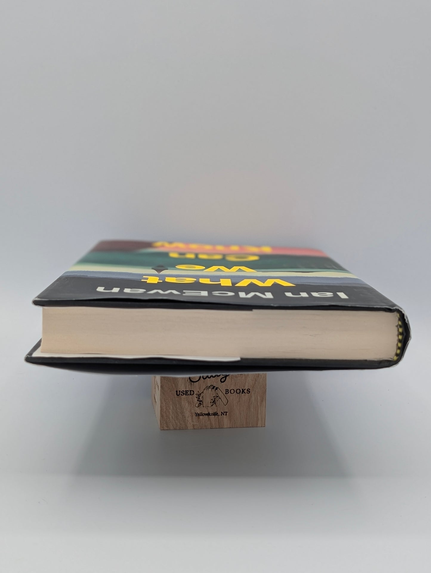 What We Can Know: A Novel