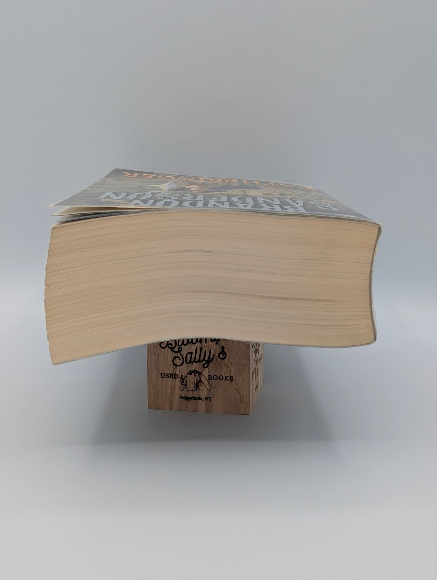 Oathbringer: Book Three of the Stormlight Archive (The Stormlight Archive, 3)