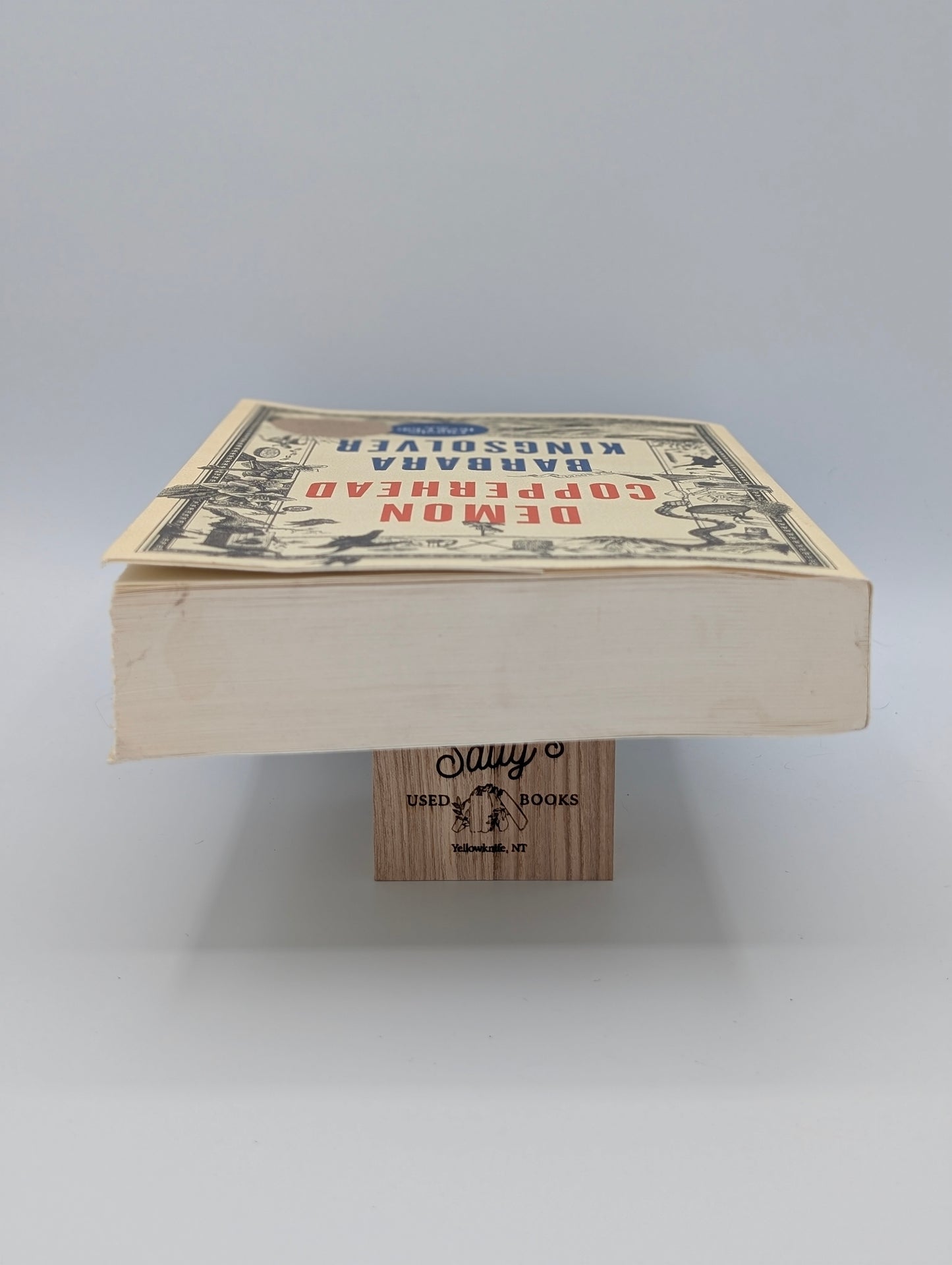 Demon Copperhead Intl: A Pulitzer Prize Winner (Oprah's Book Club)