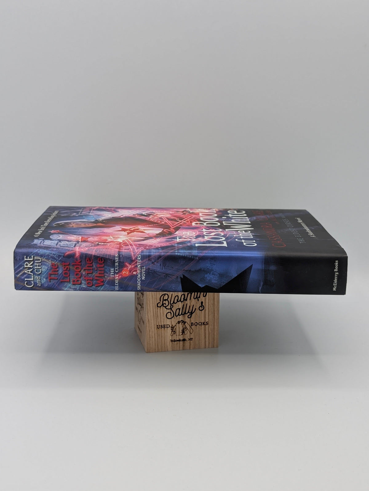 The Lost Book of the White (2) (The Eldest Curses)