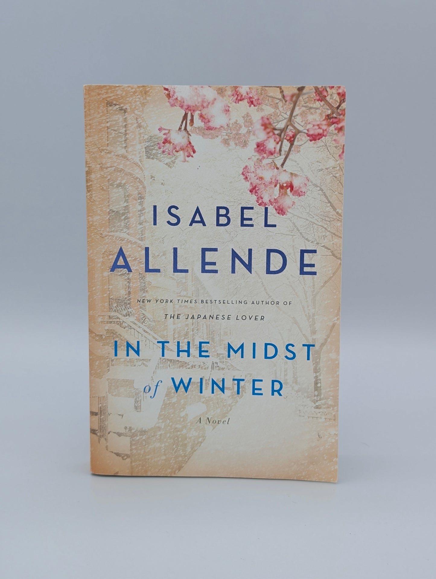 In the Midst of Winter: A Novel
