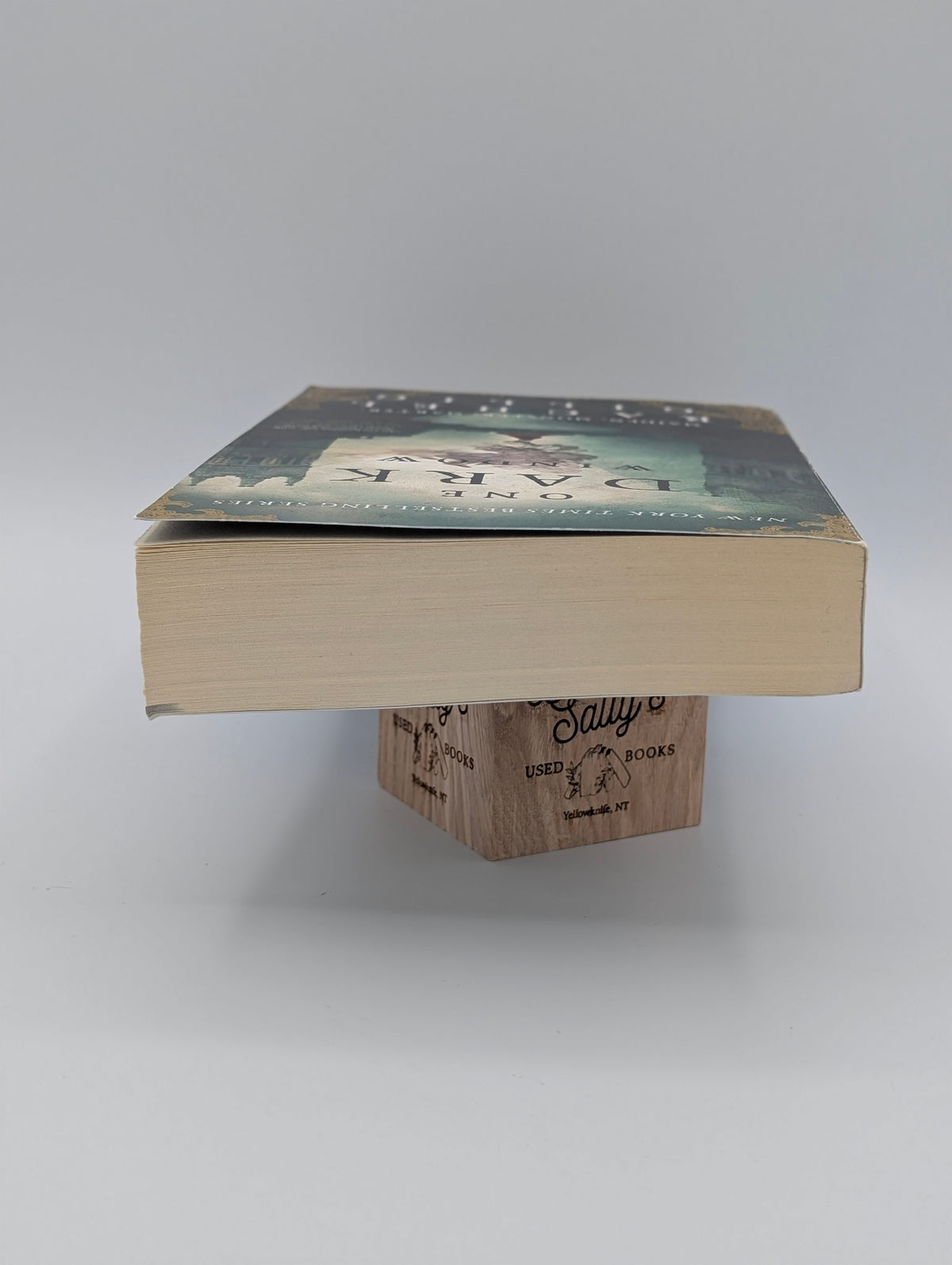 One Dark Window (The Shepherd King, 1)