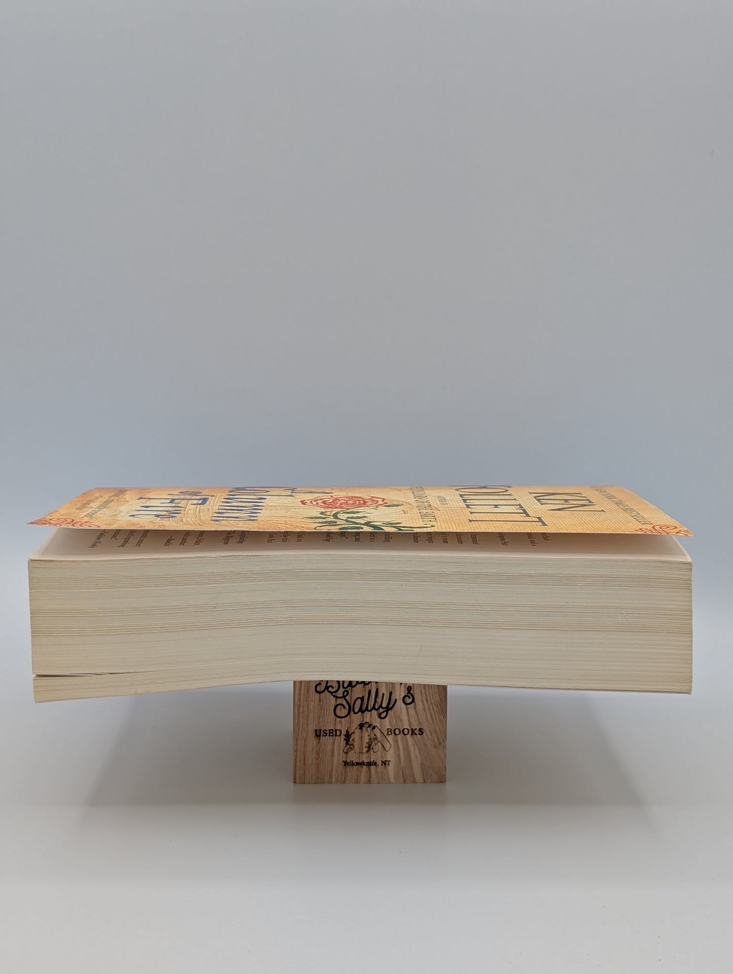 A Column of Fire: A Novel (Kingsbridge)