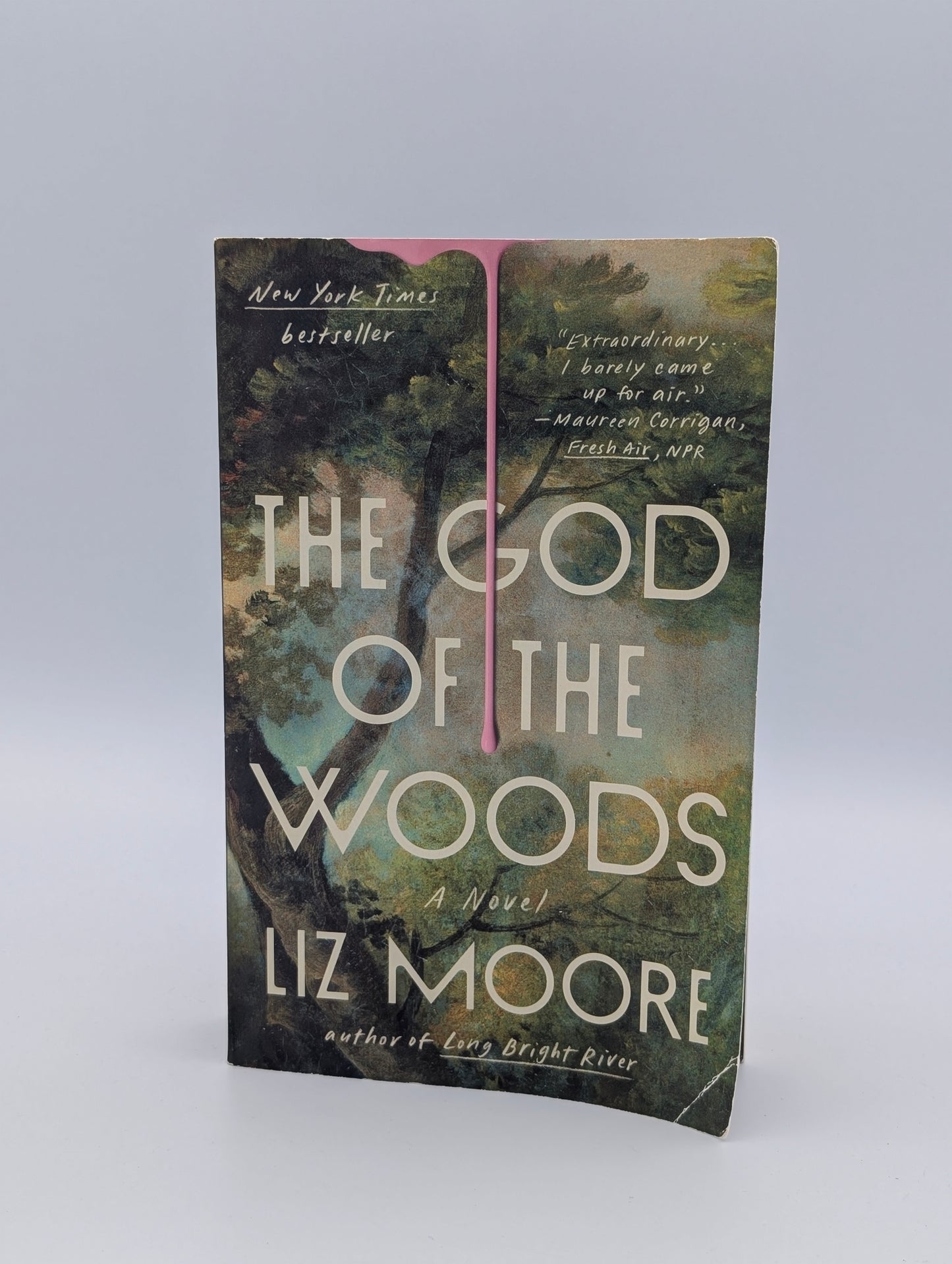 The God of the Woods: A Novel