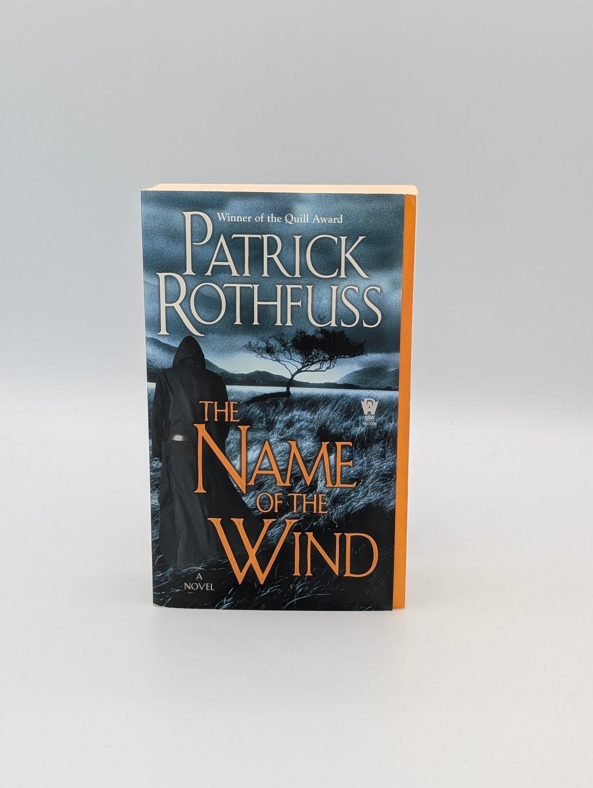 The Name of the Wind